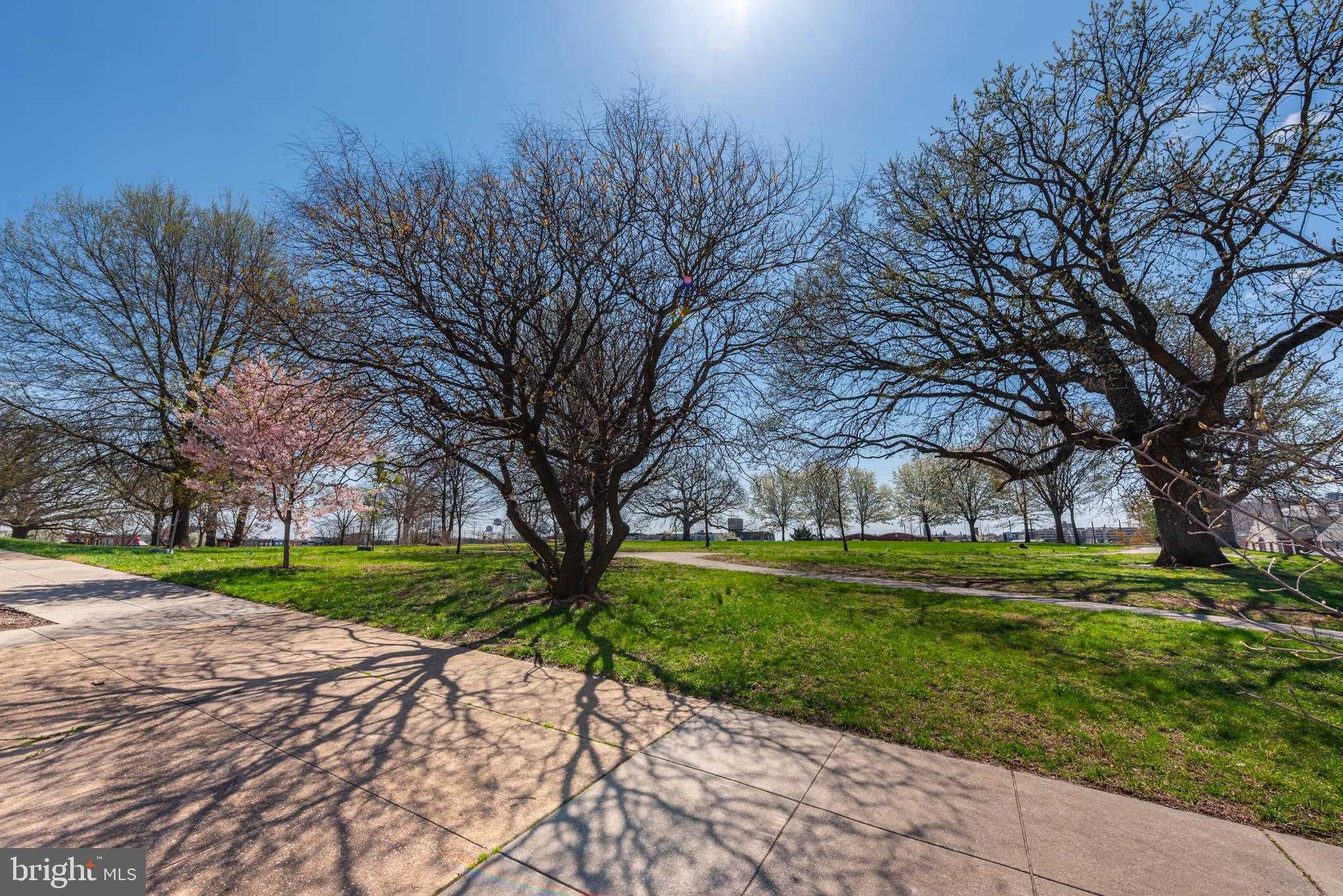 2118 E Hoffman St photo 19