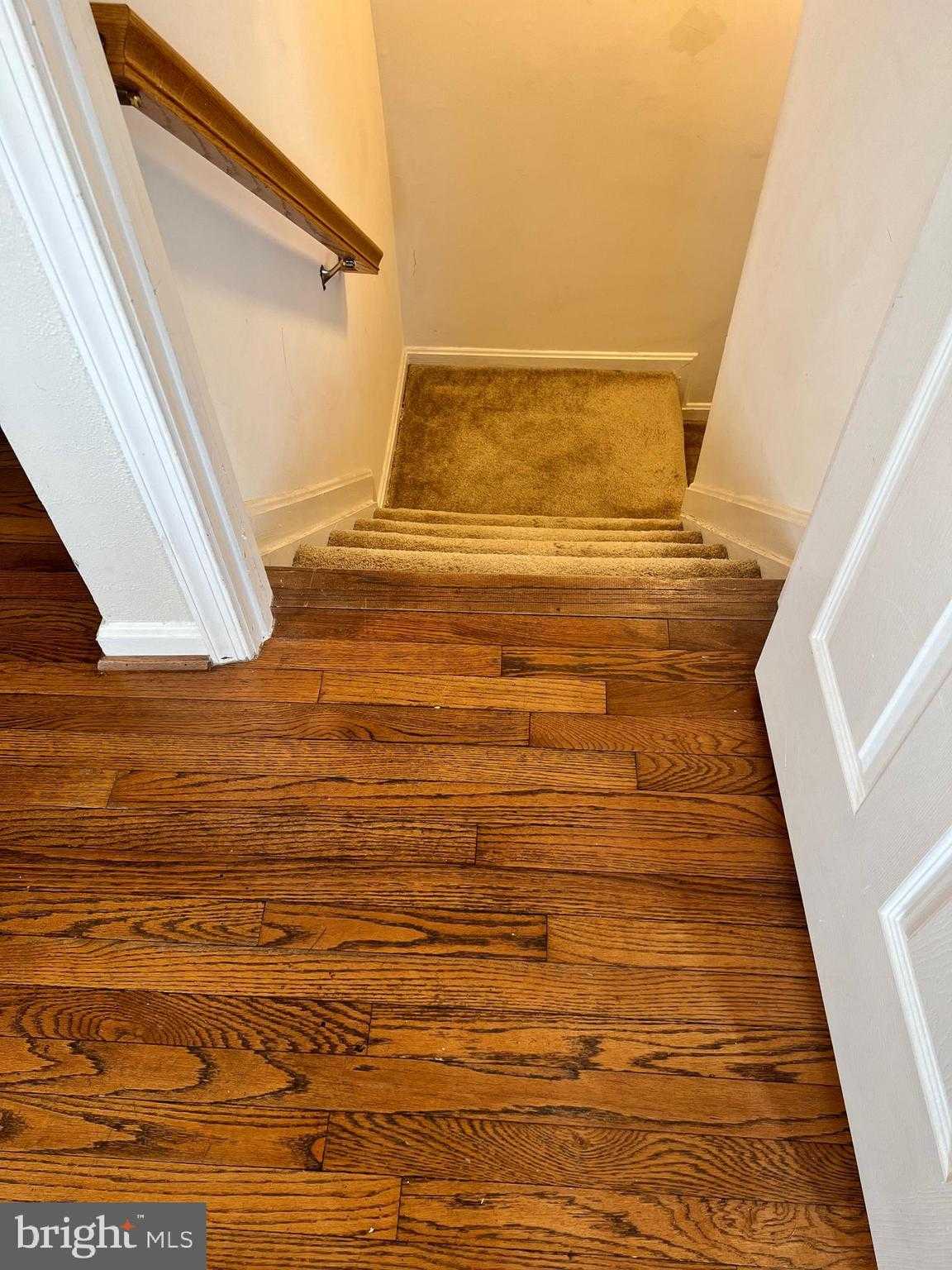 591 Winterspice Dr photo 19