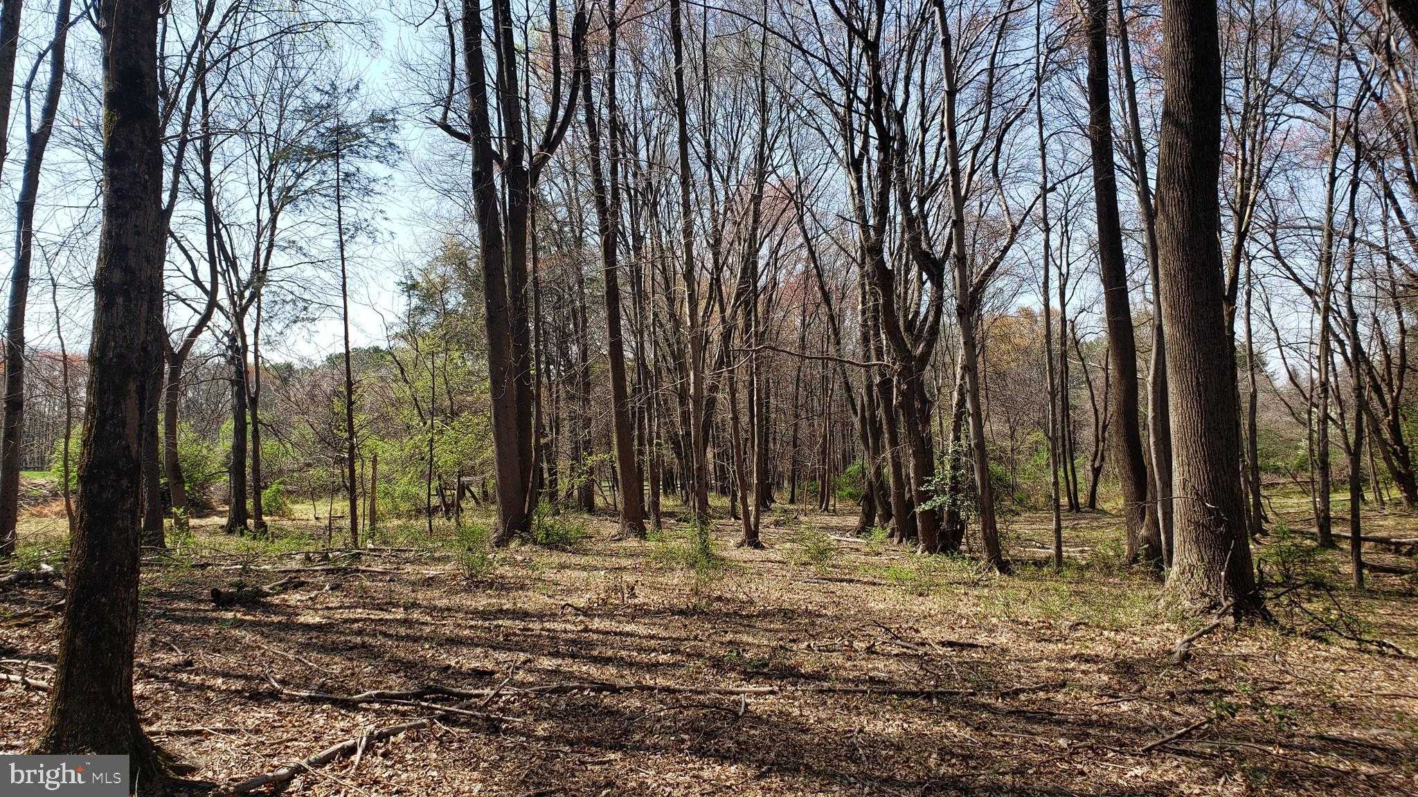 748 Kentland Dr photo 2