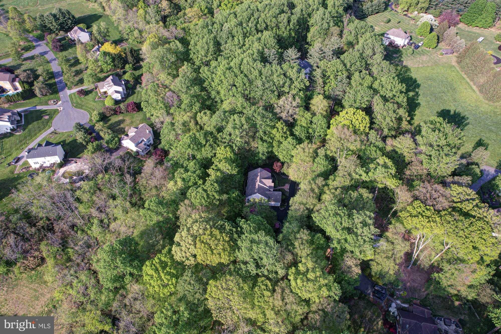 118 Pleasant Bank Ln photo 66