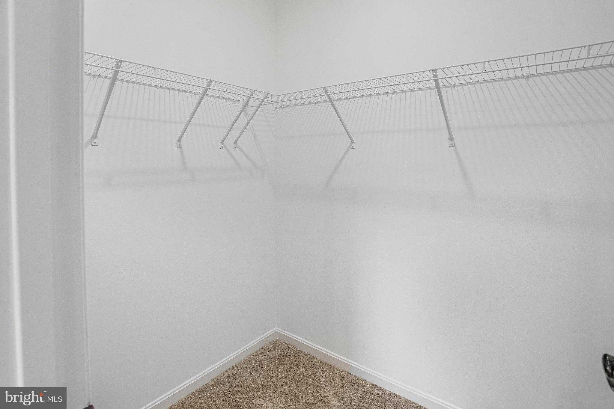 217 Camwood CT photo 37