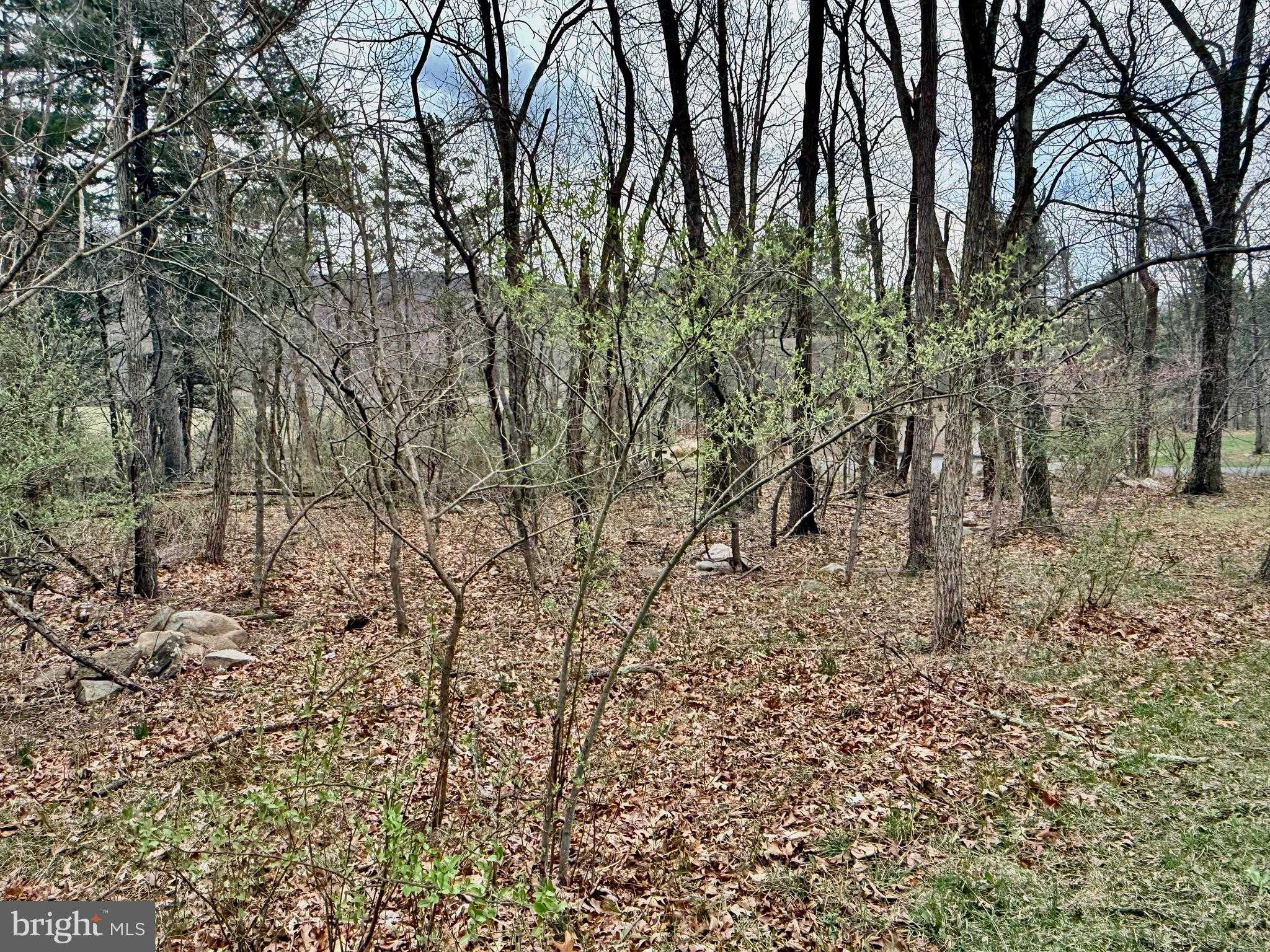 TIMBERLAKE ESTATES - LOT 2 photo 7