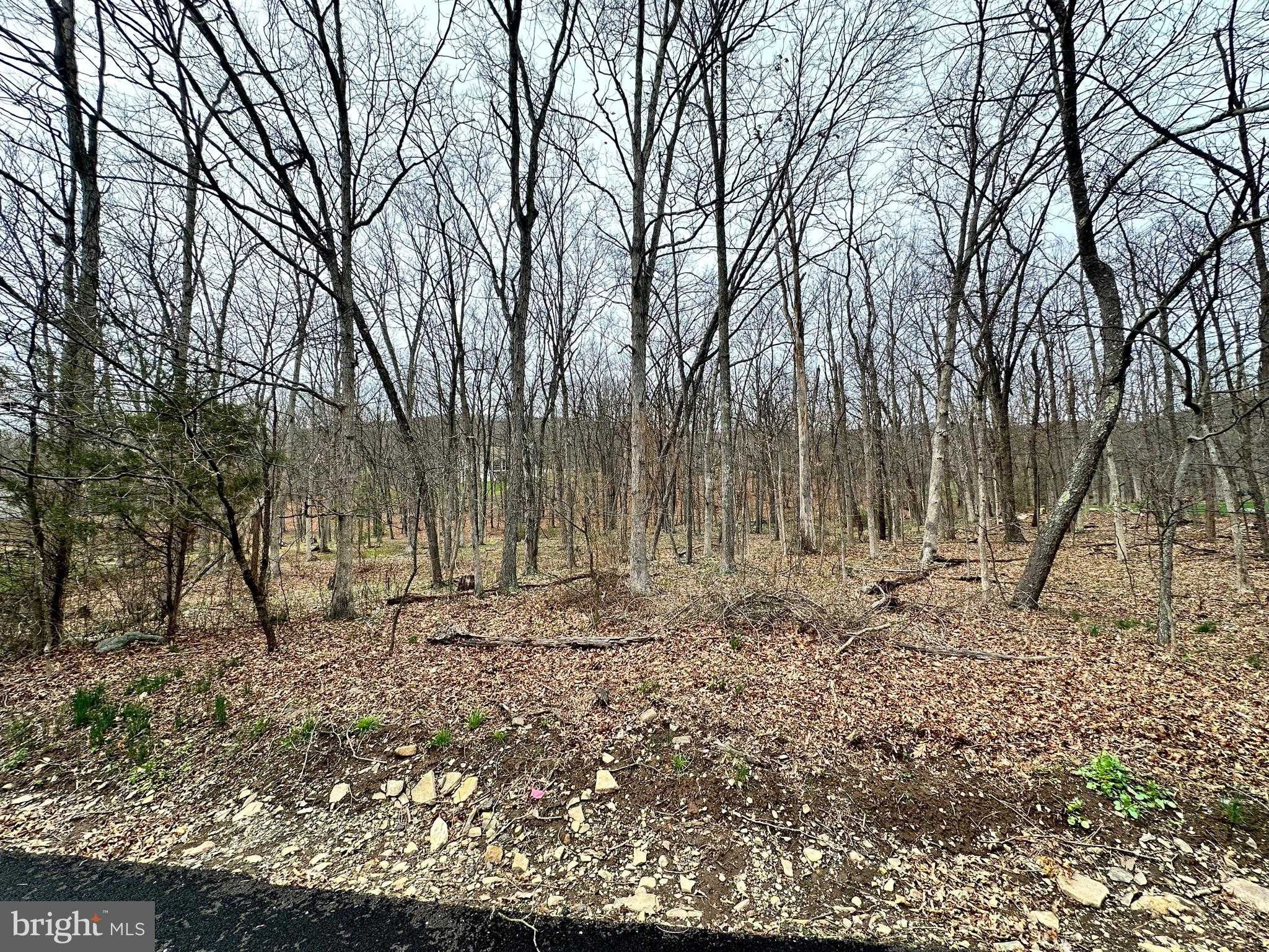 TIMBERLAKE ESTATES - LOT 24 photo 13