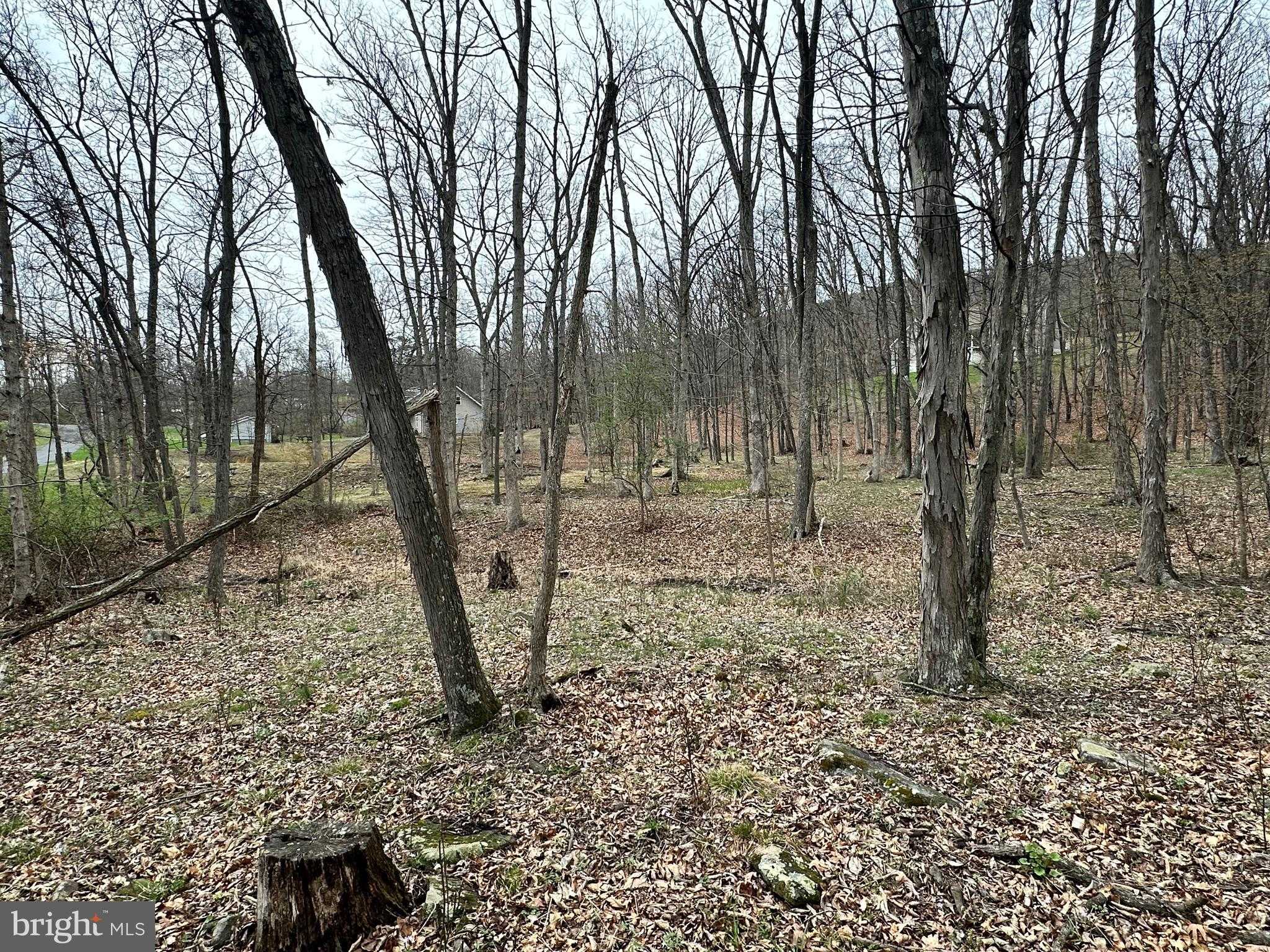 TIMBERLAKE ESTATES - LOT 24 photo 9