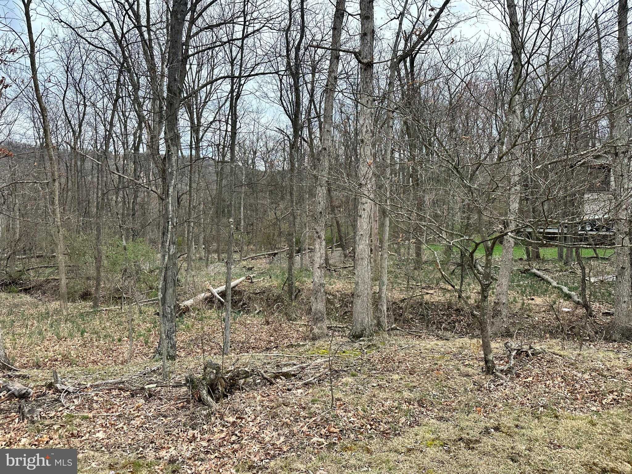 TIMBERLAKE ESTATES - LOT 27 photo 5