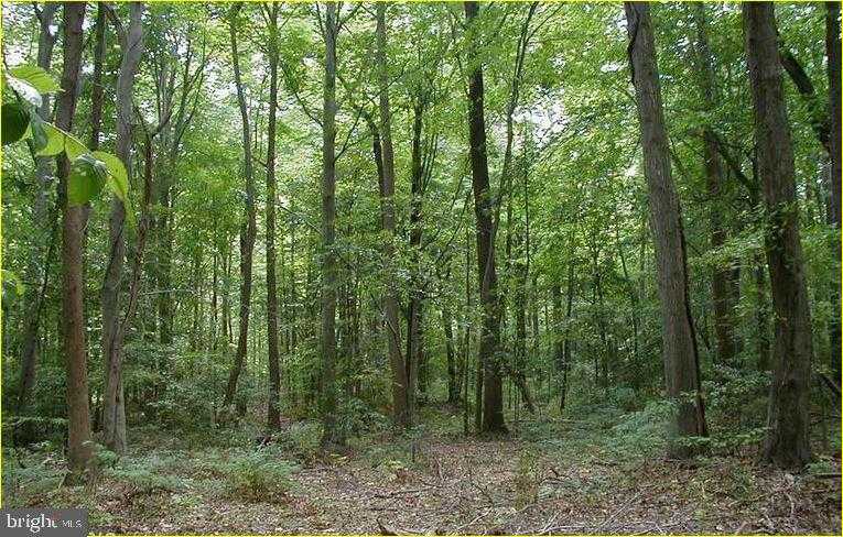 12605 Cedarville Rd photo 7