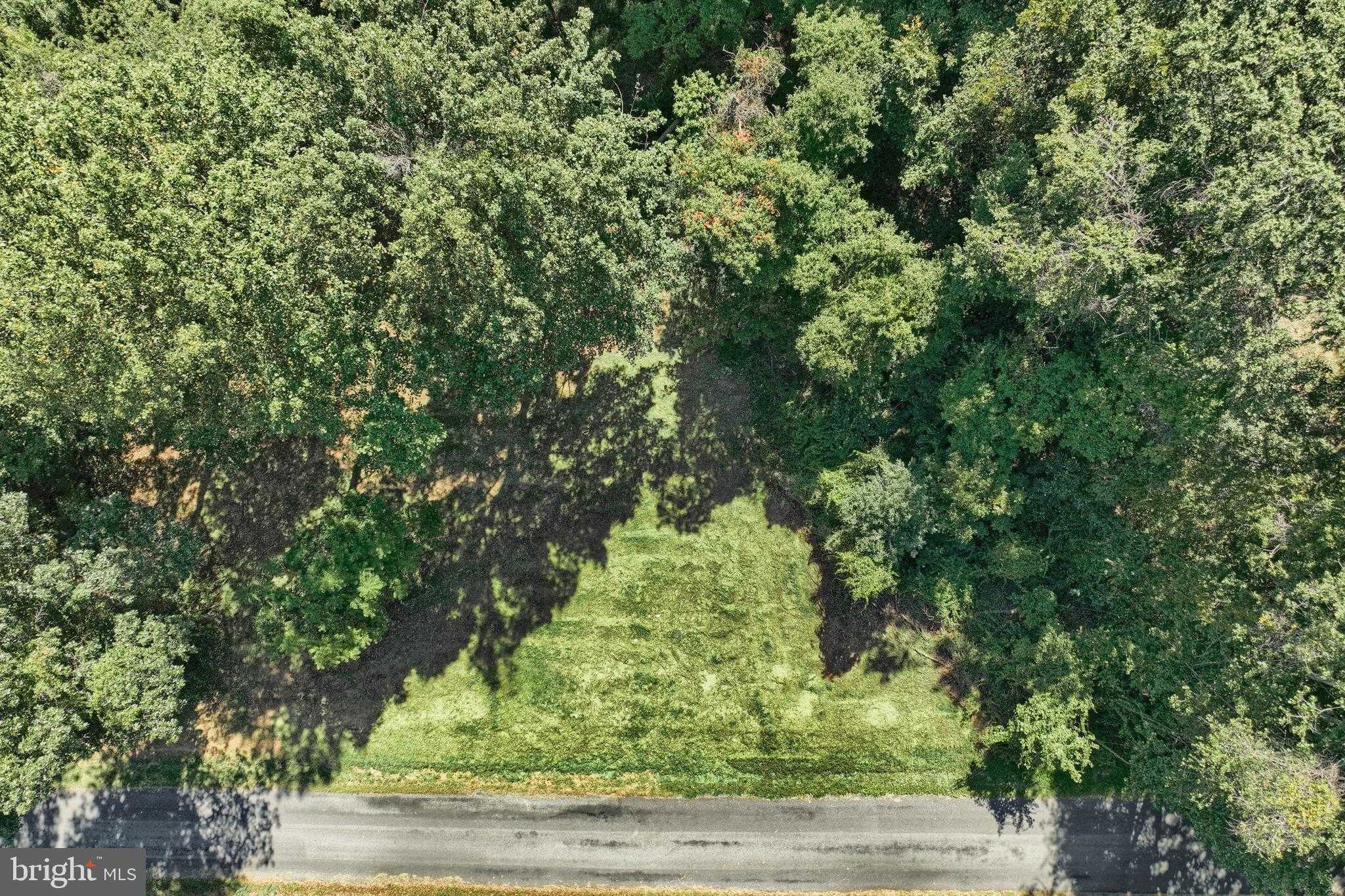 38 Ringneck Trl photo 2