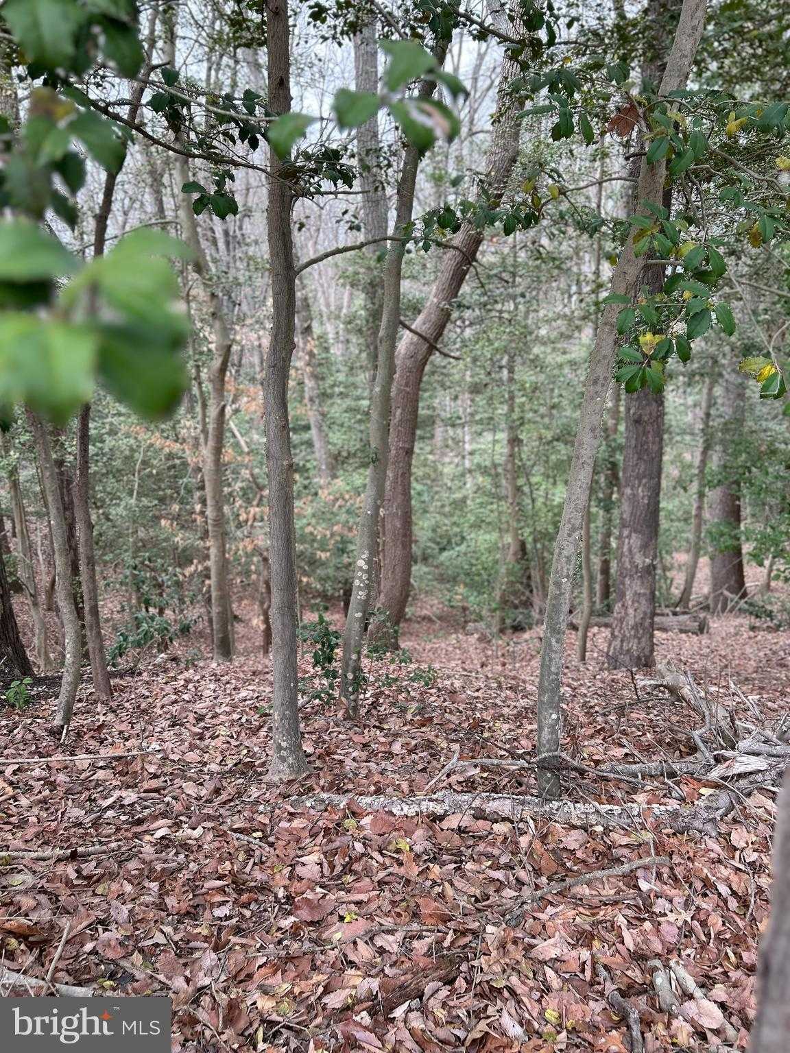 Anne Arundel Blvd photo 2