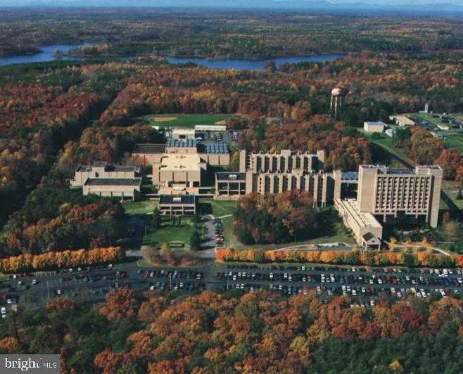 3 Quarry Rd photo 44