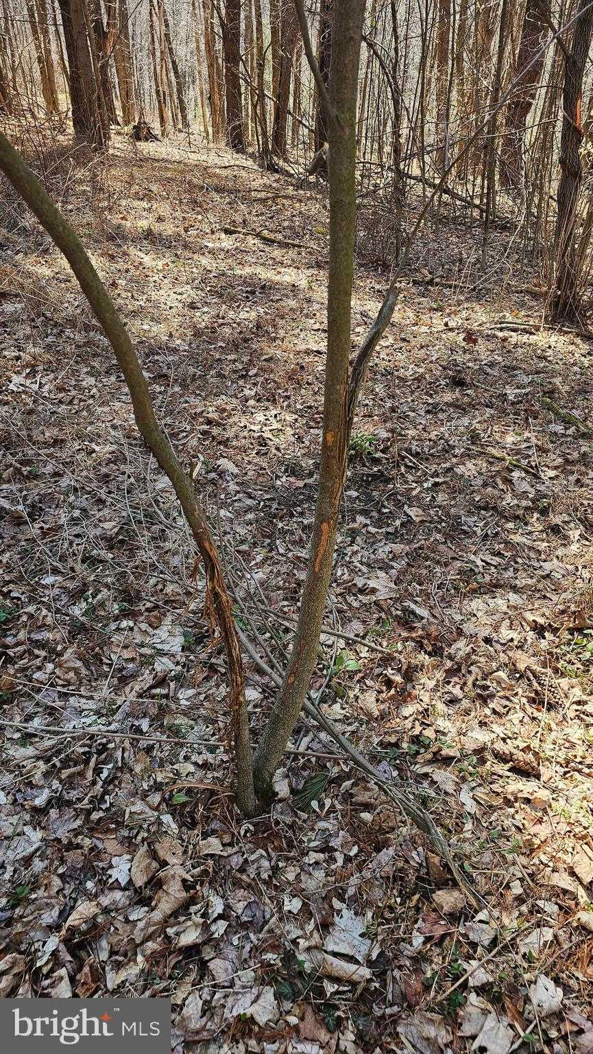 5725 Old Us Highway 322 photo 18