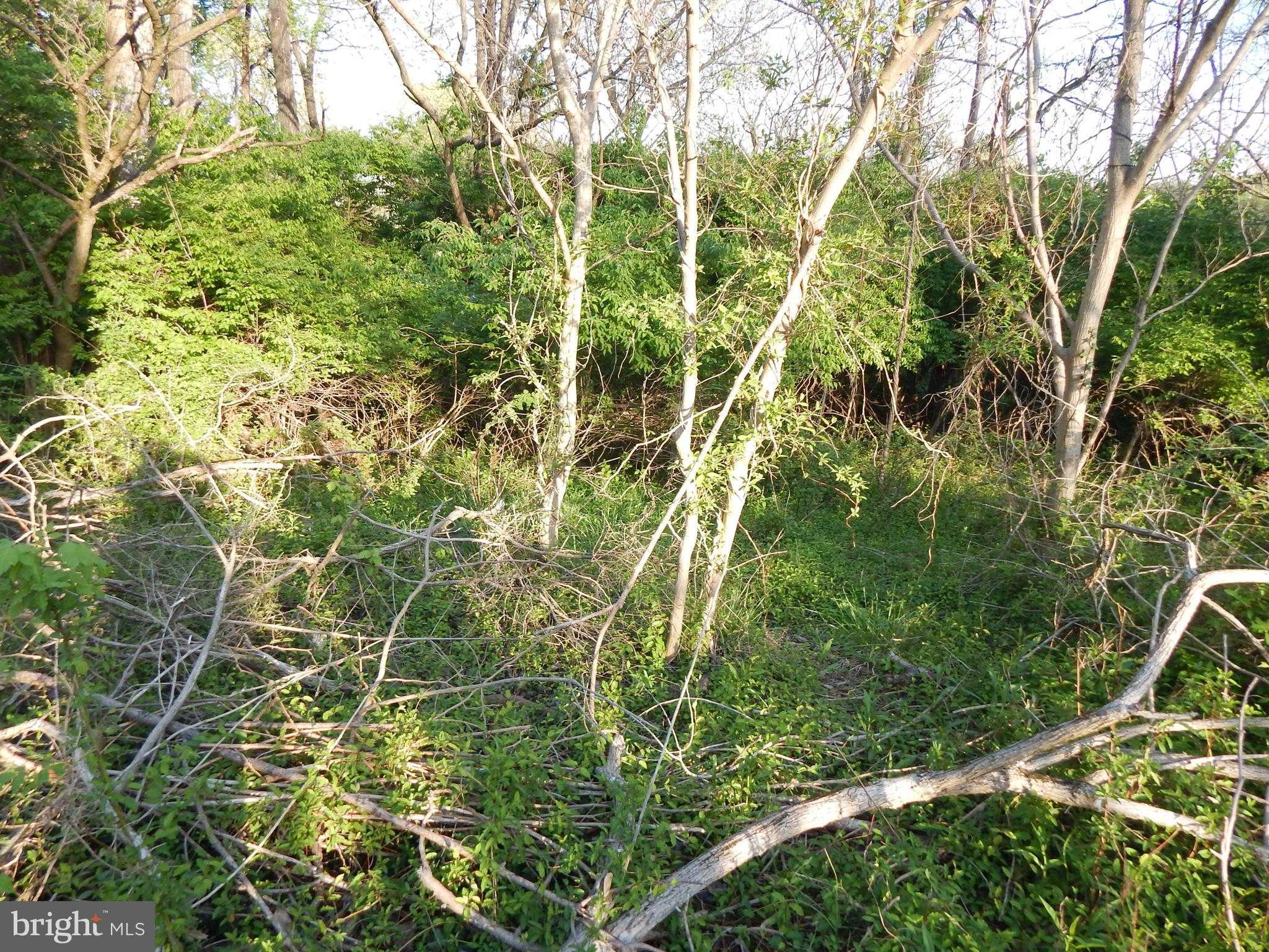 Lot 92 SIEBERT STREET photo 2