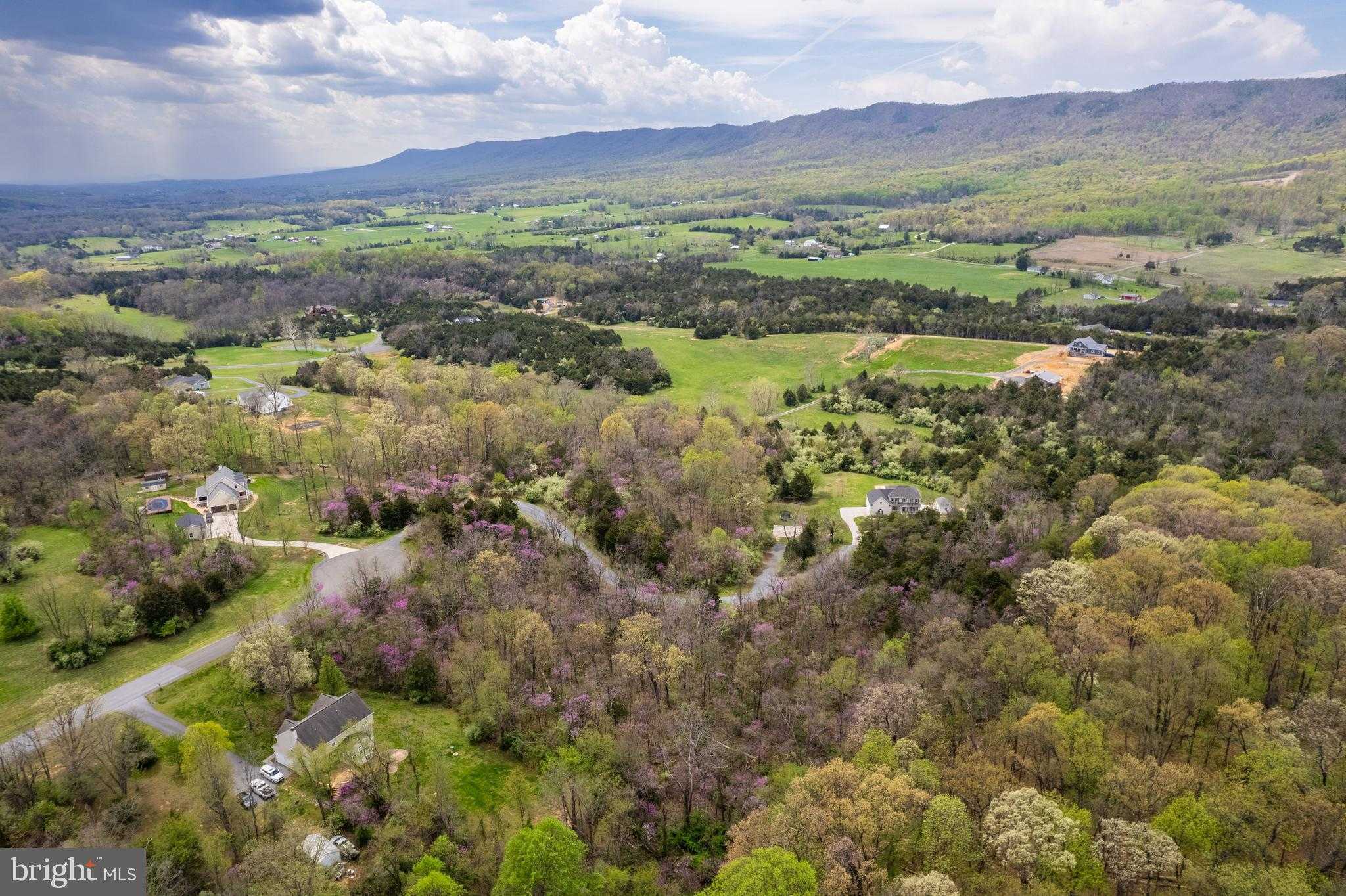 30 Waverly Dr photo 6