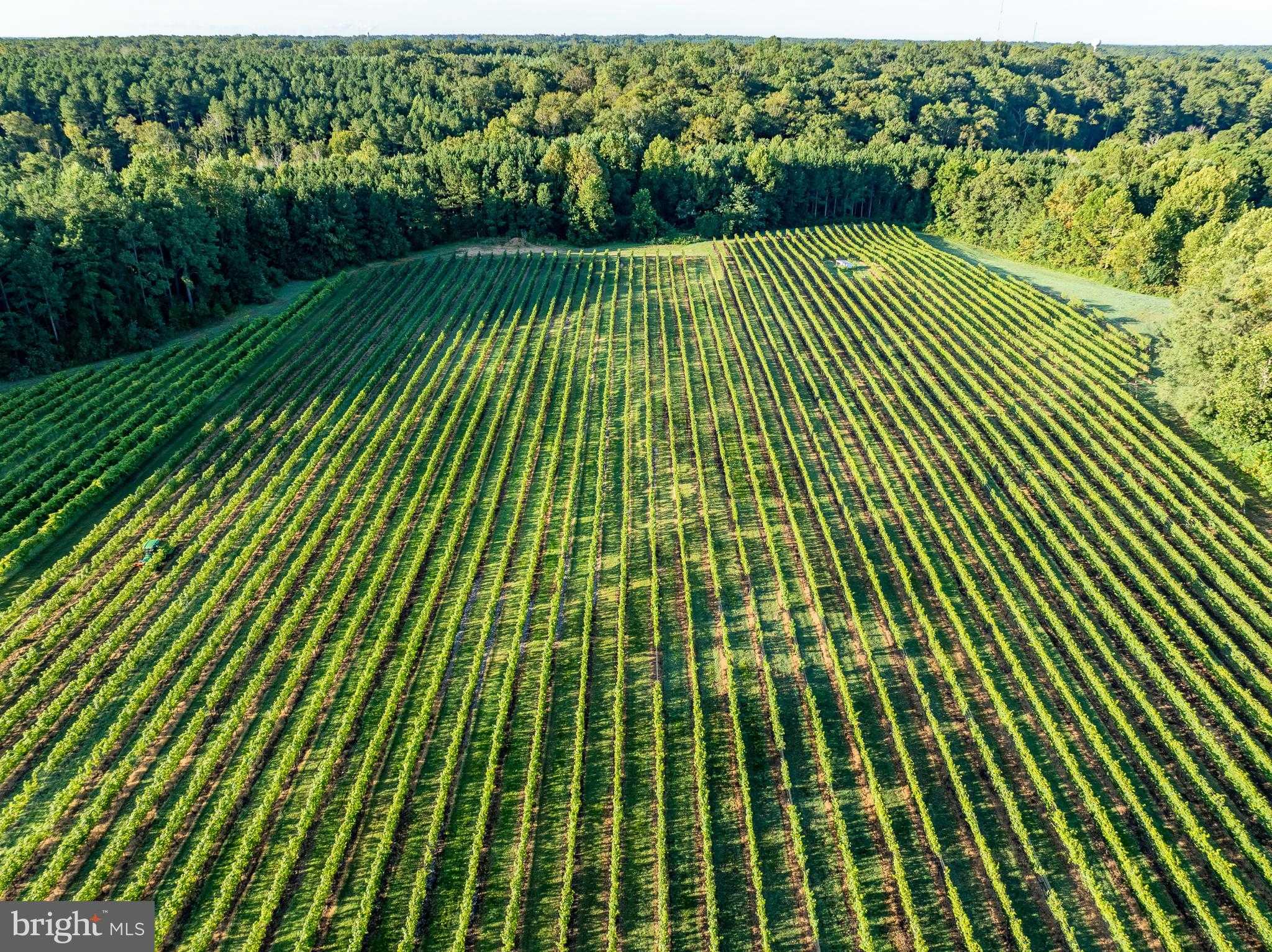 1025 Goodluck Rd photo 111