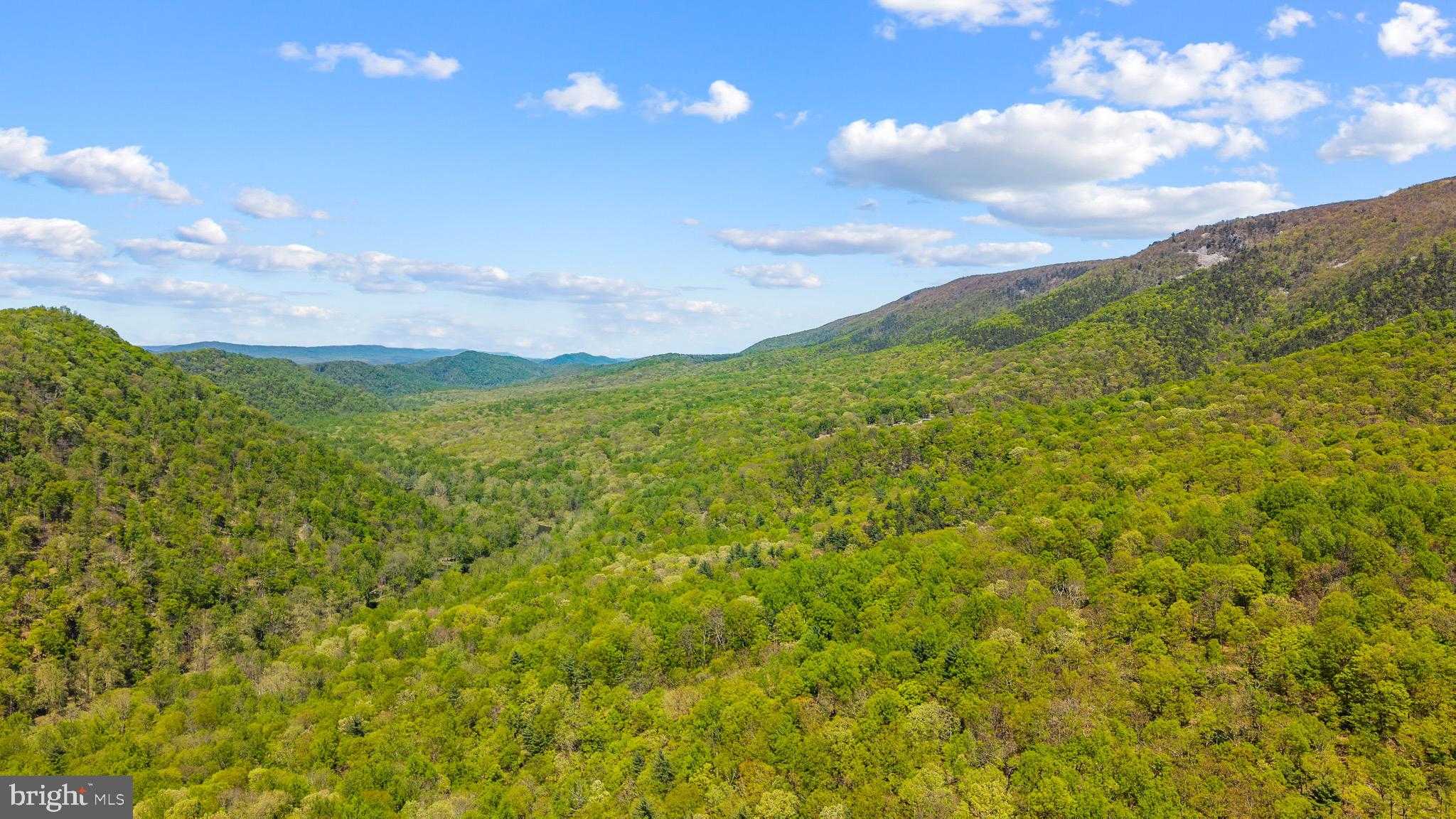 326 Preacher Ln photo 80