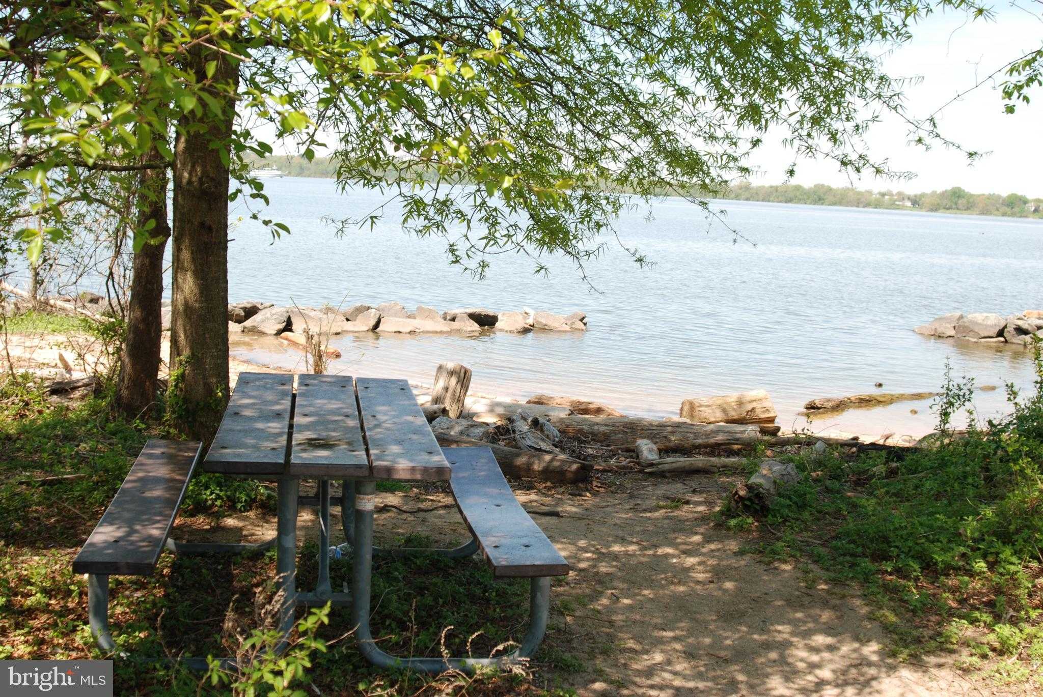 Bryan Point Rd photo 19