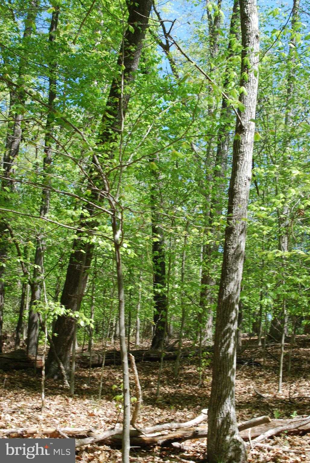 Bryan Point Rd photo 4