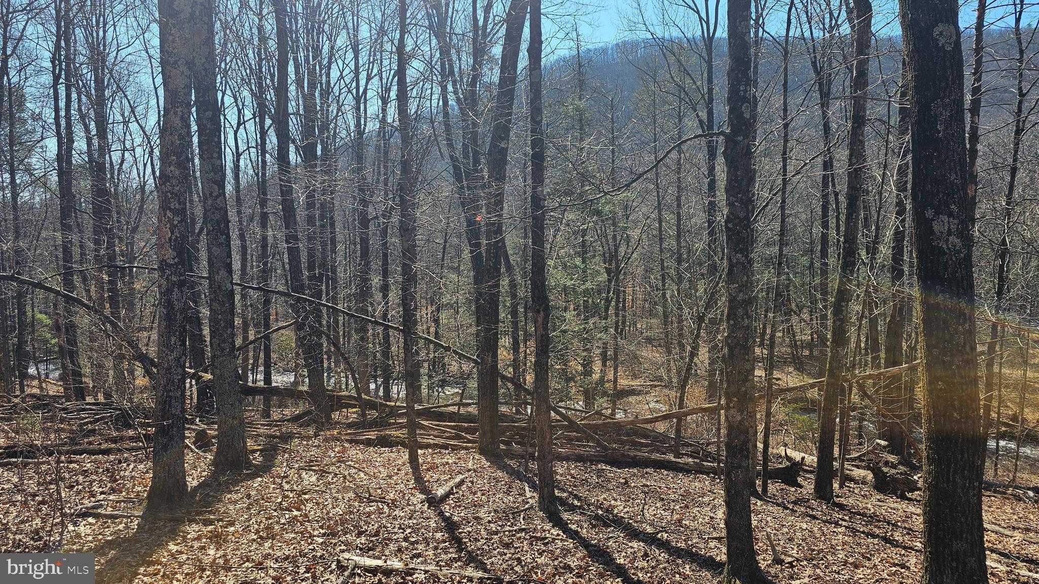 5725 Old Us Highway 322 photo 10