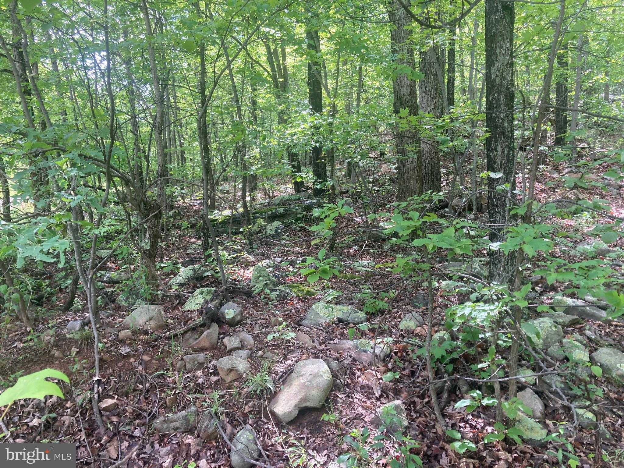 840 Falconwood Dr photo 2