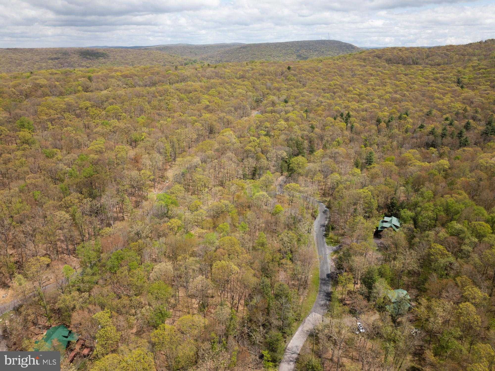 55 Gallatin Dr photo 7