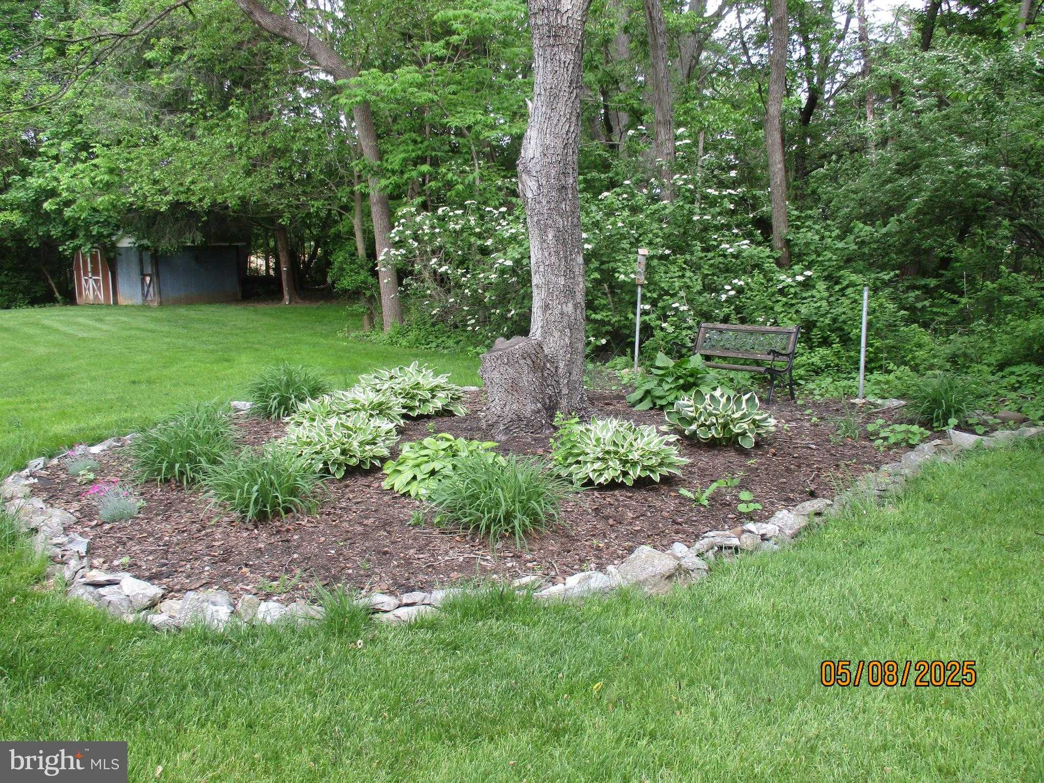 9 Montsera Rd photo 20