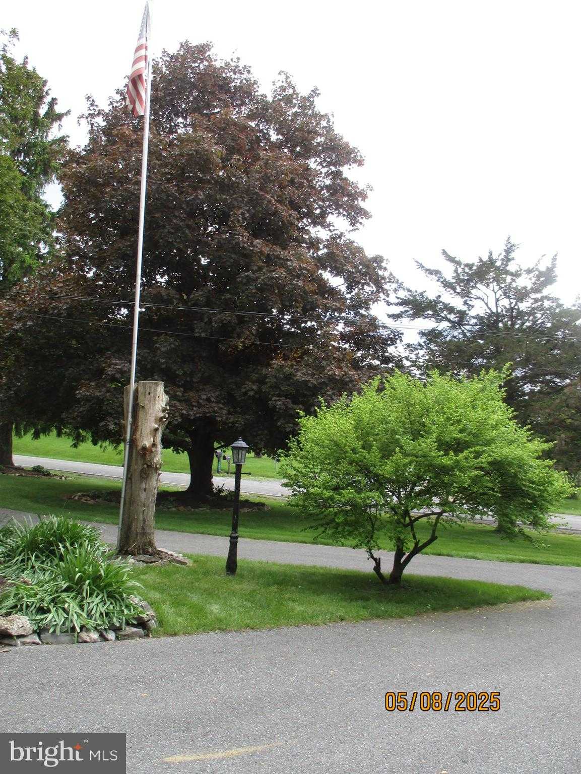 9 Montsera Rd photo 35