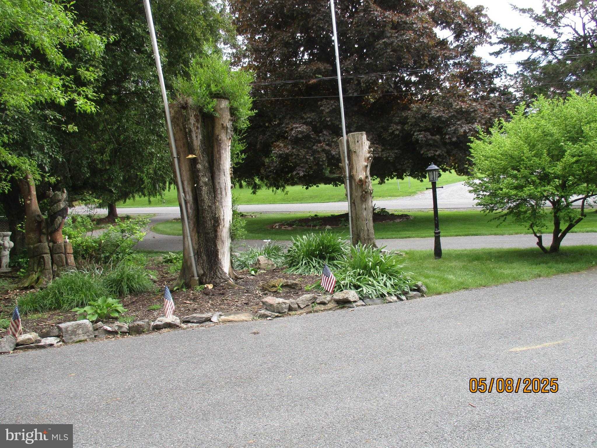 9 Montsera Rd photo 38