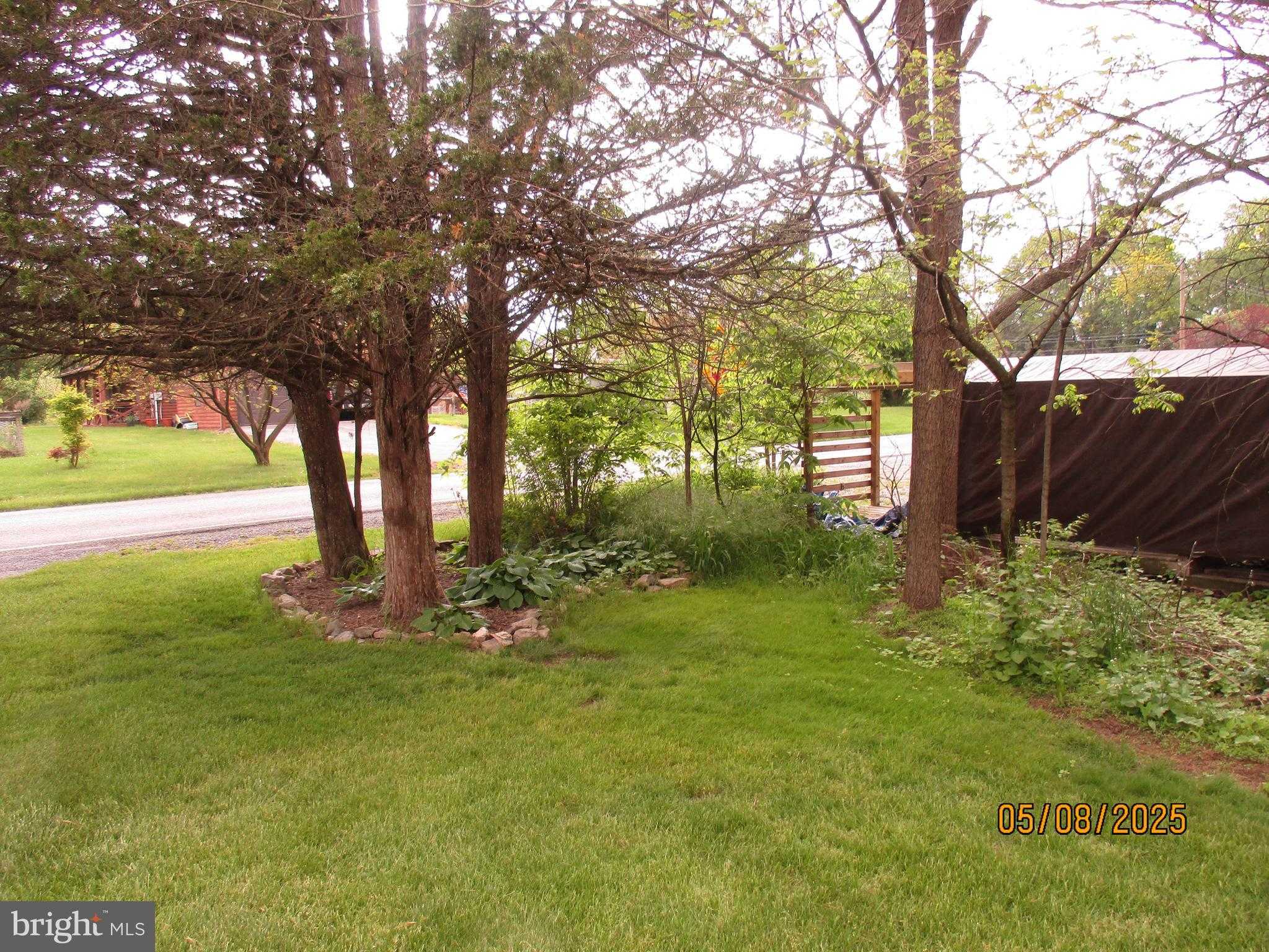 9 Montsera Rd photo 49