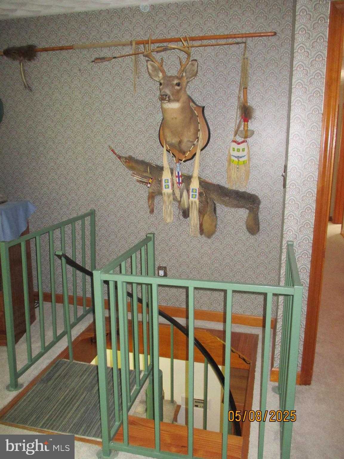 9 Montsera Rd photo 96