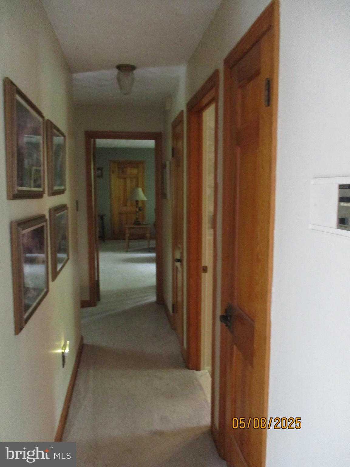 9 Montsera Rd photo 99