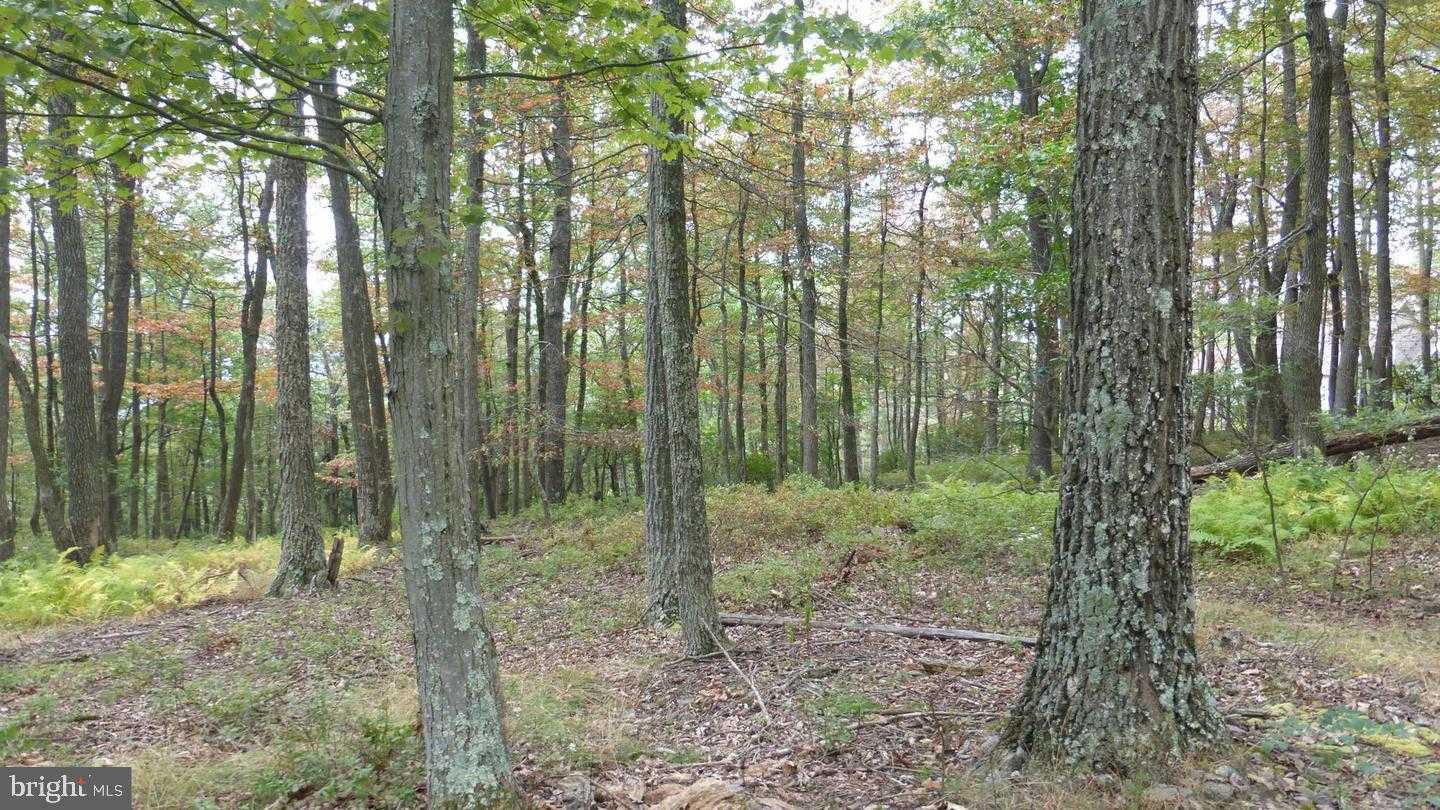 27 Top of The Hill Ln photo 6