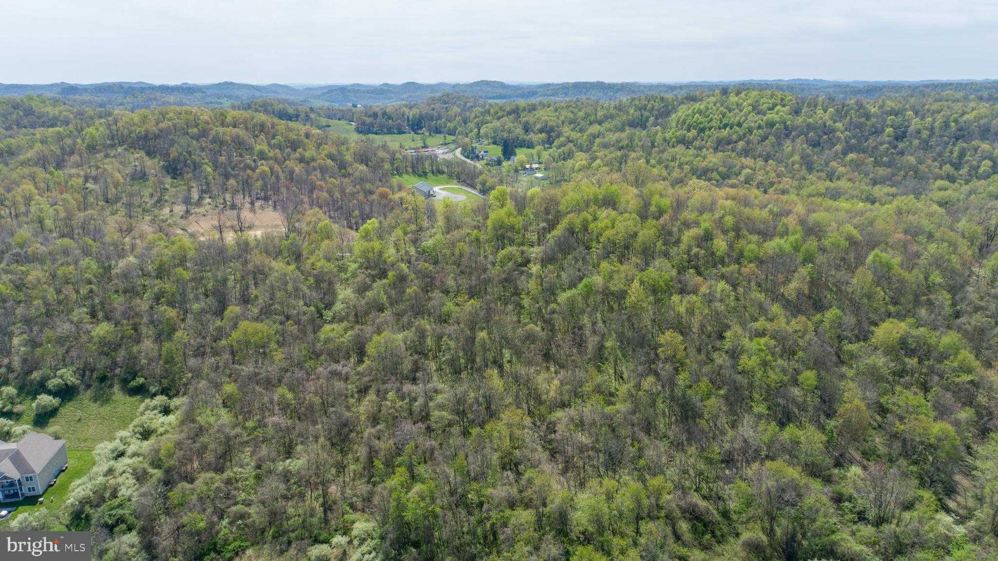 Benedum Run Rd photo 43