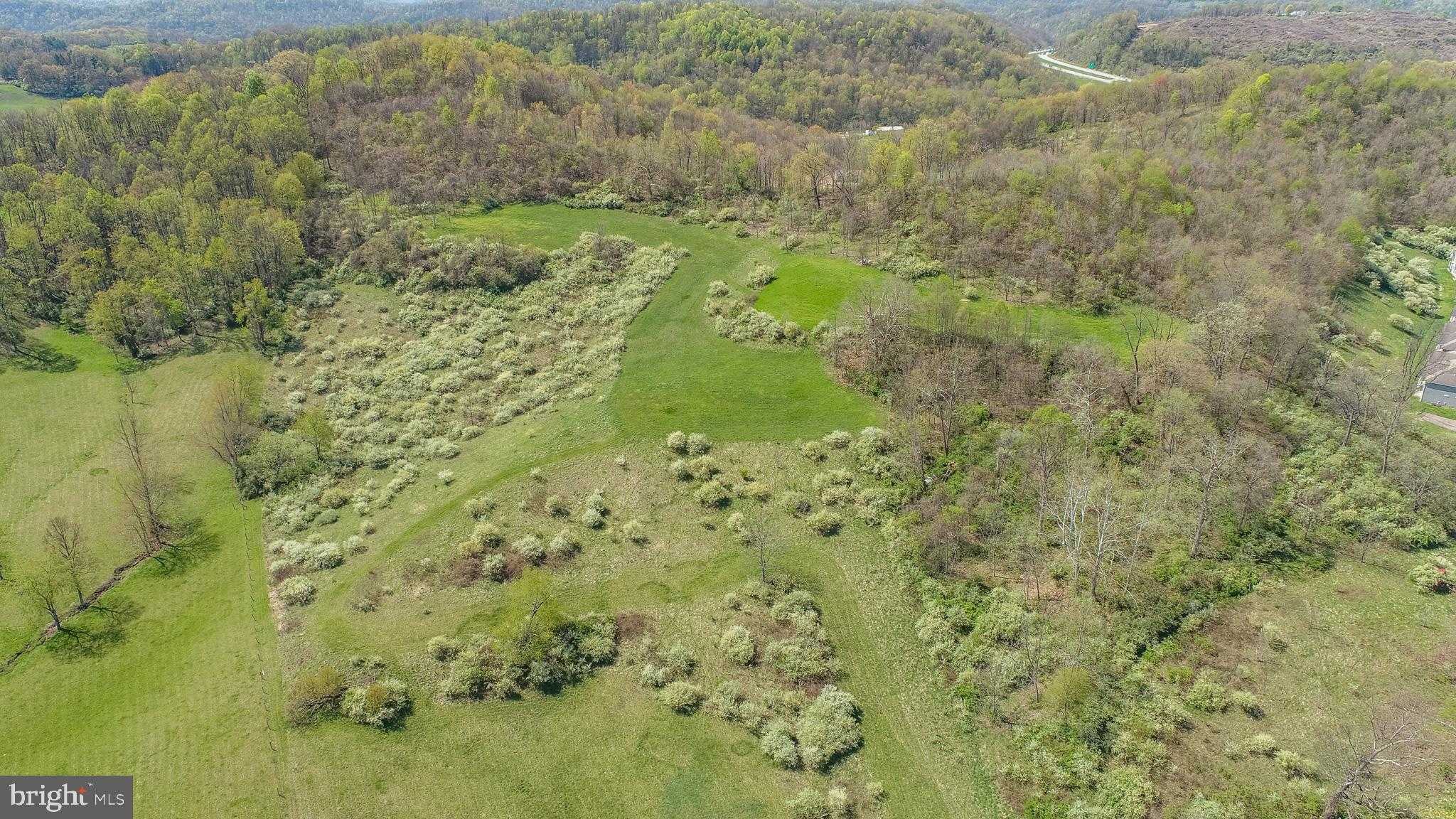 Benedum Run Rd photo 9