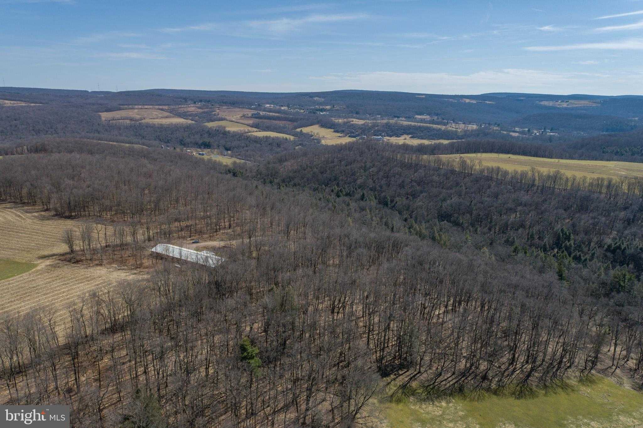 616 Crab Run Rd photo 12