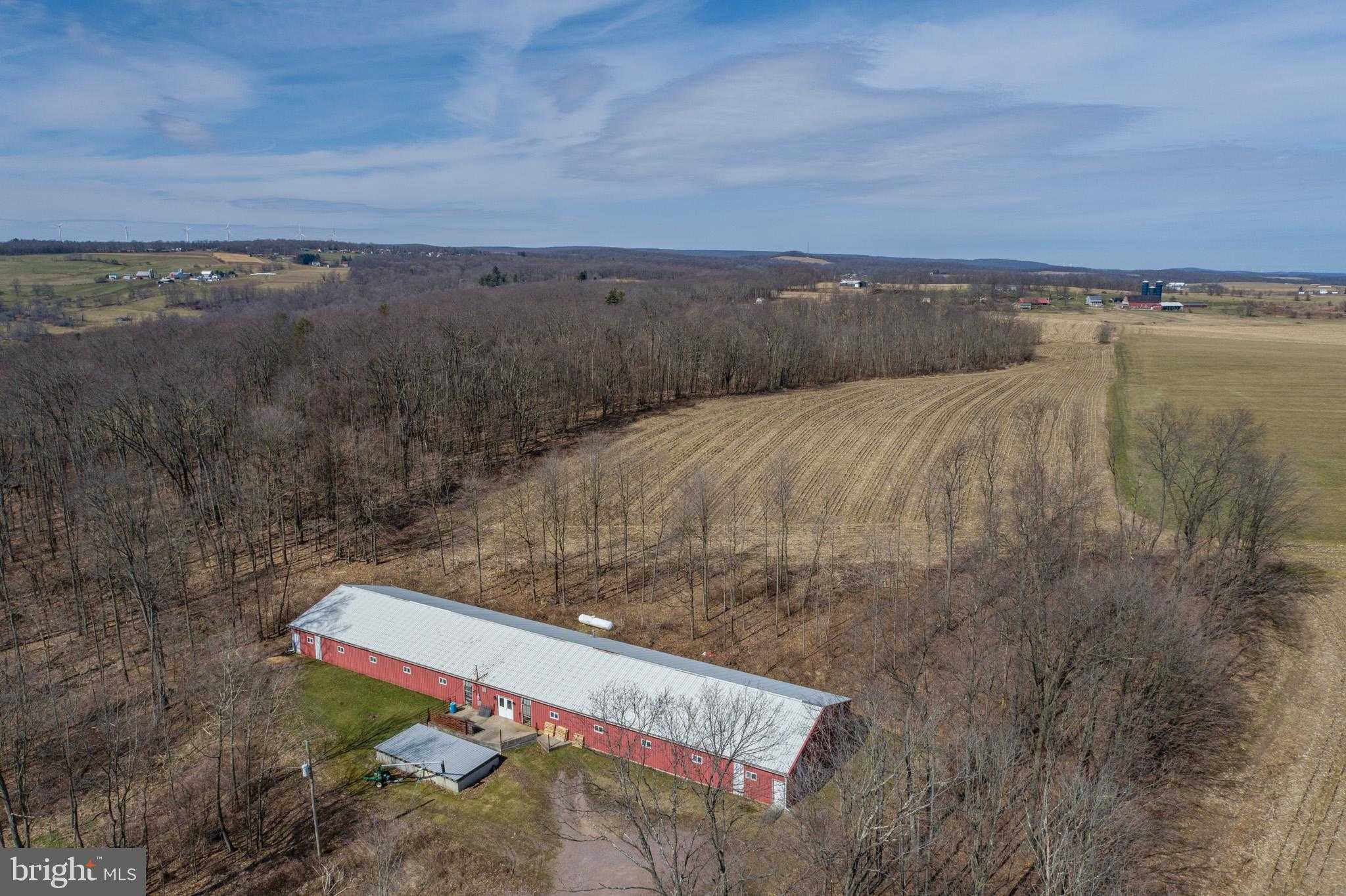 616 Crab Run Rd photo 6