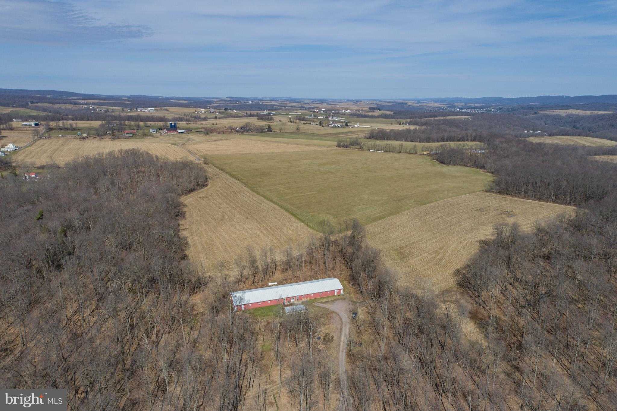 616 Crab Run Rd photo 17