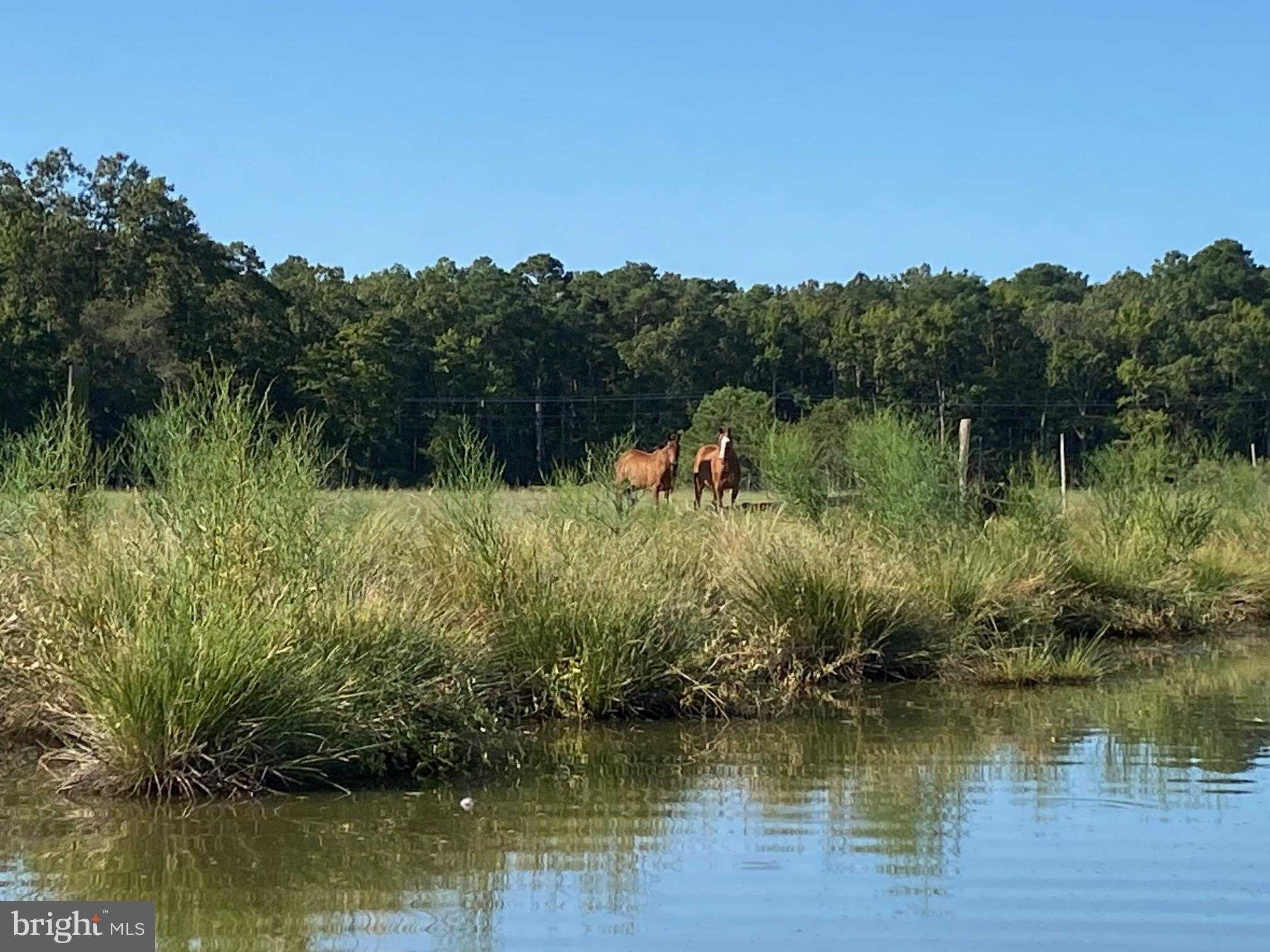 15363 Holly Dr photo 41