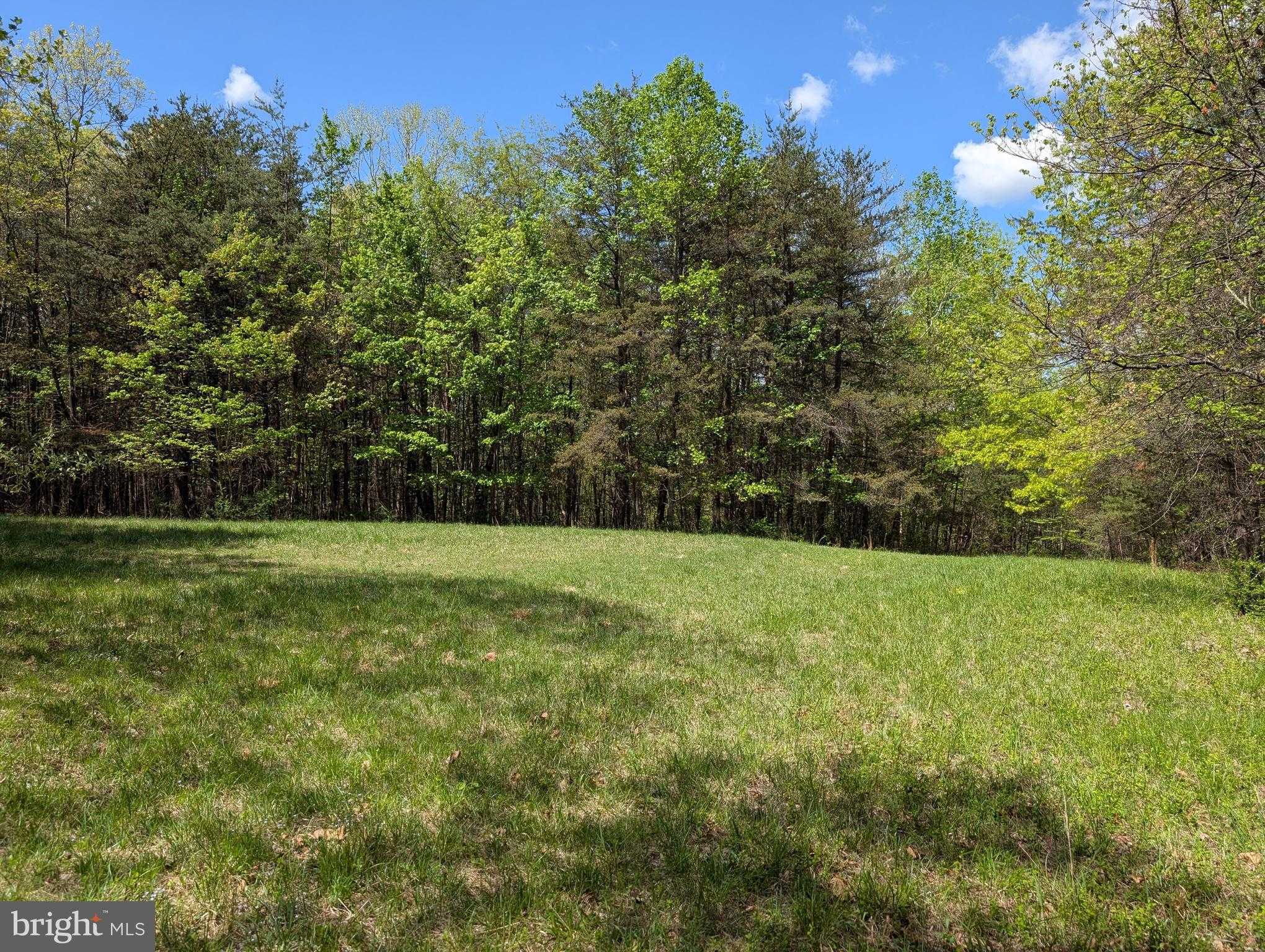 2429 Posey Hollow Rd photo 4