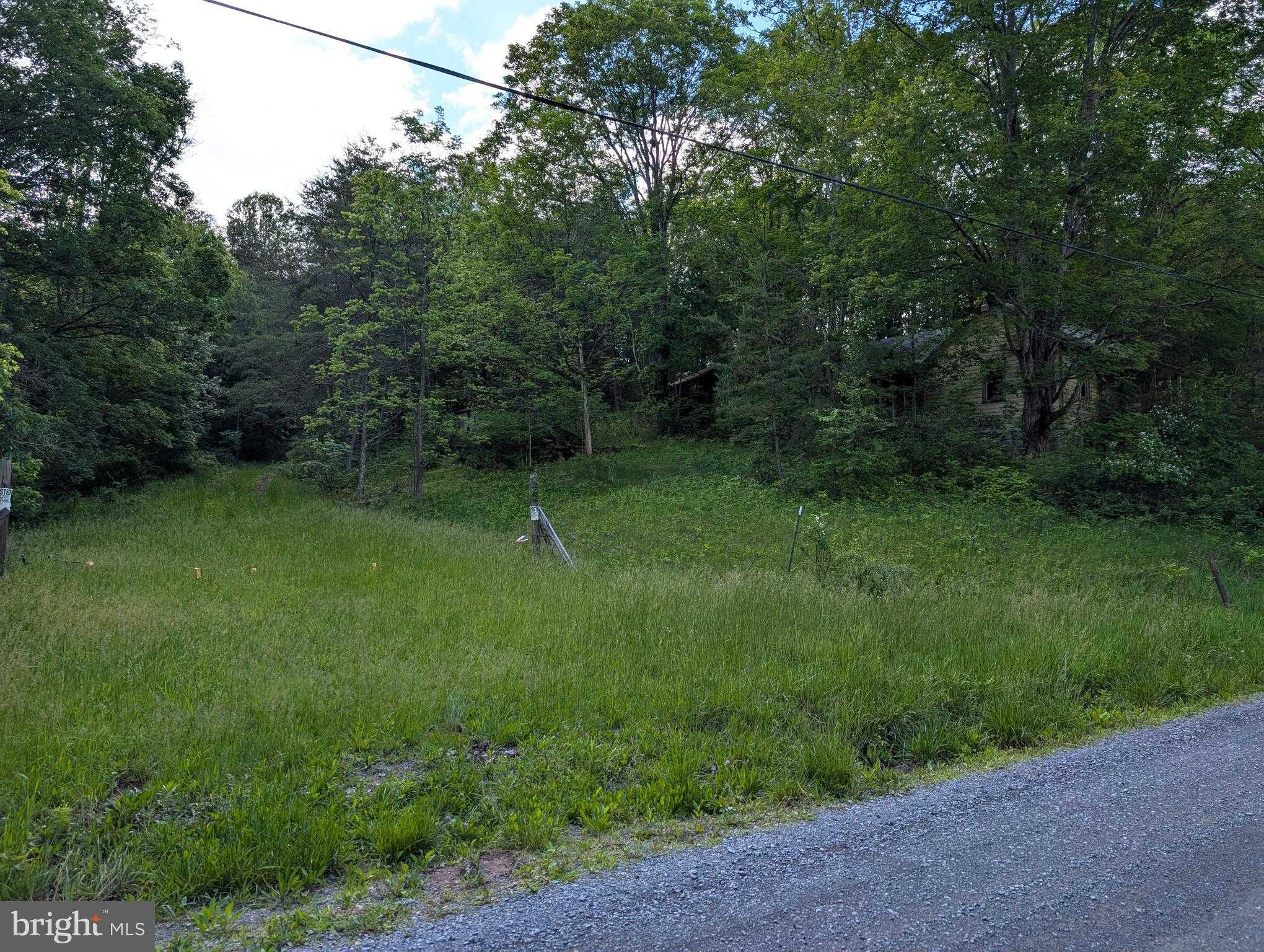 2429 Posey Hollow Rd photo 7