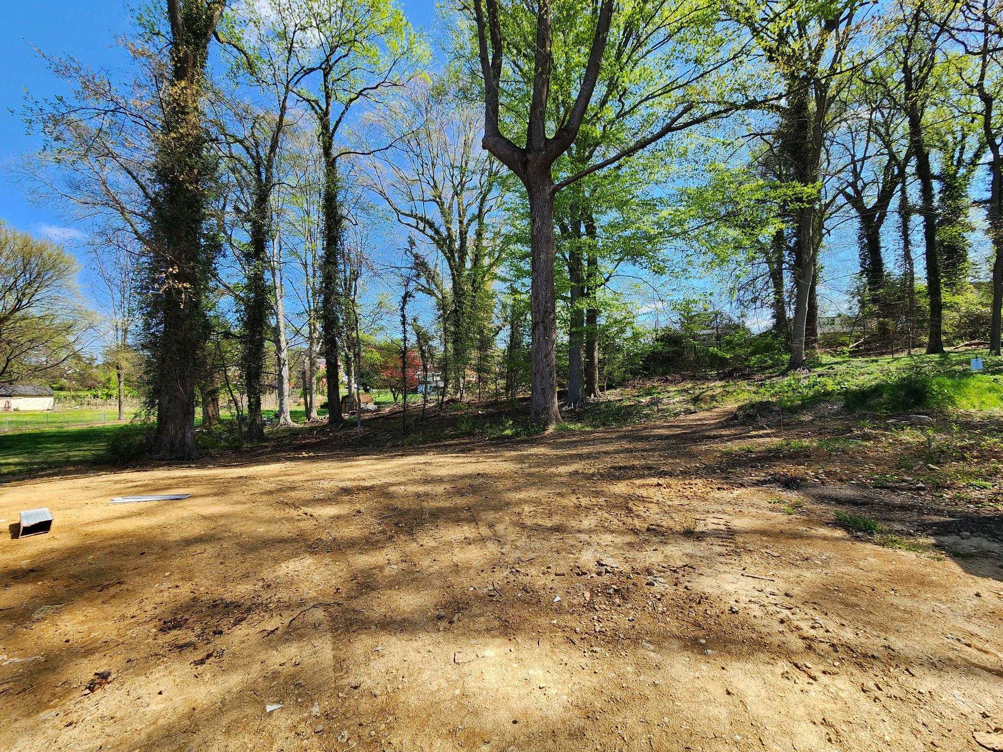 2106 Shadyside Ave photo 53