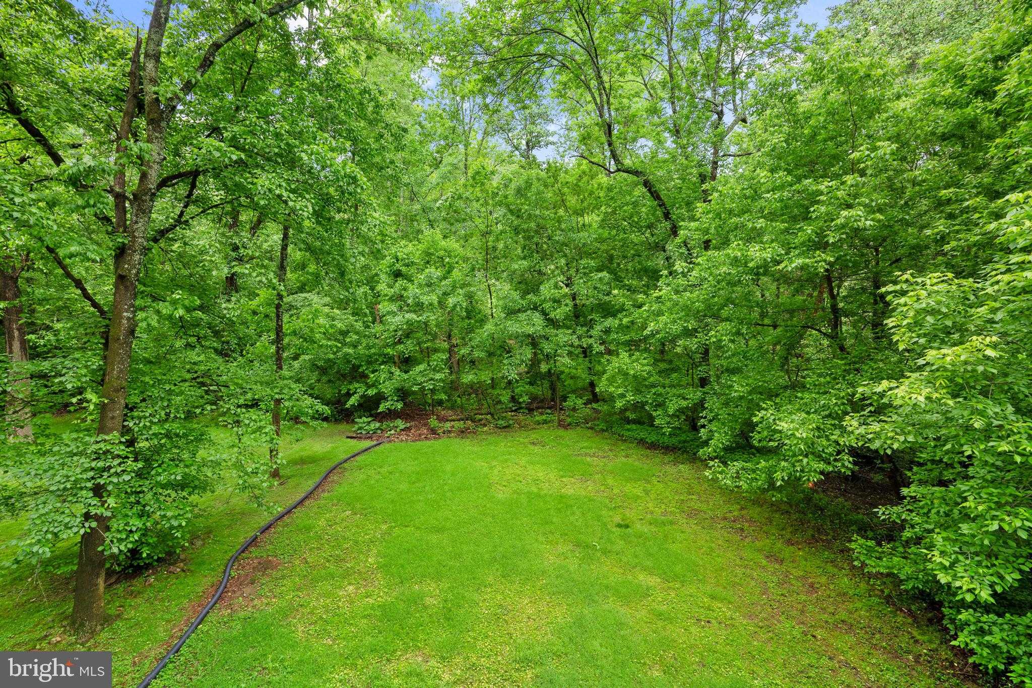 230 Playwicki St photo 10