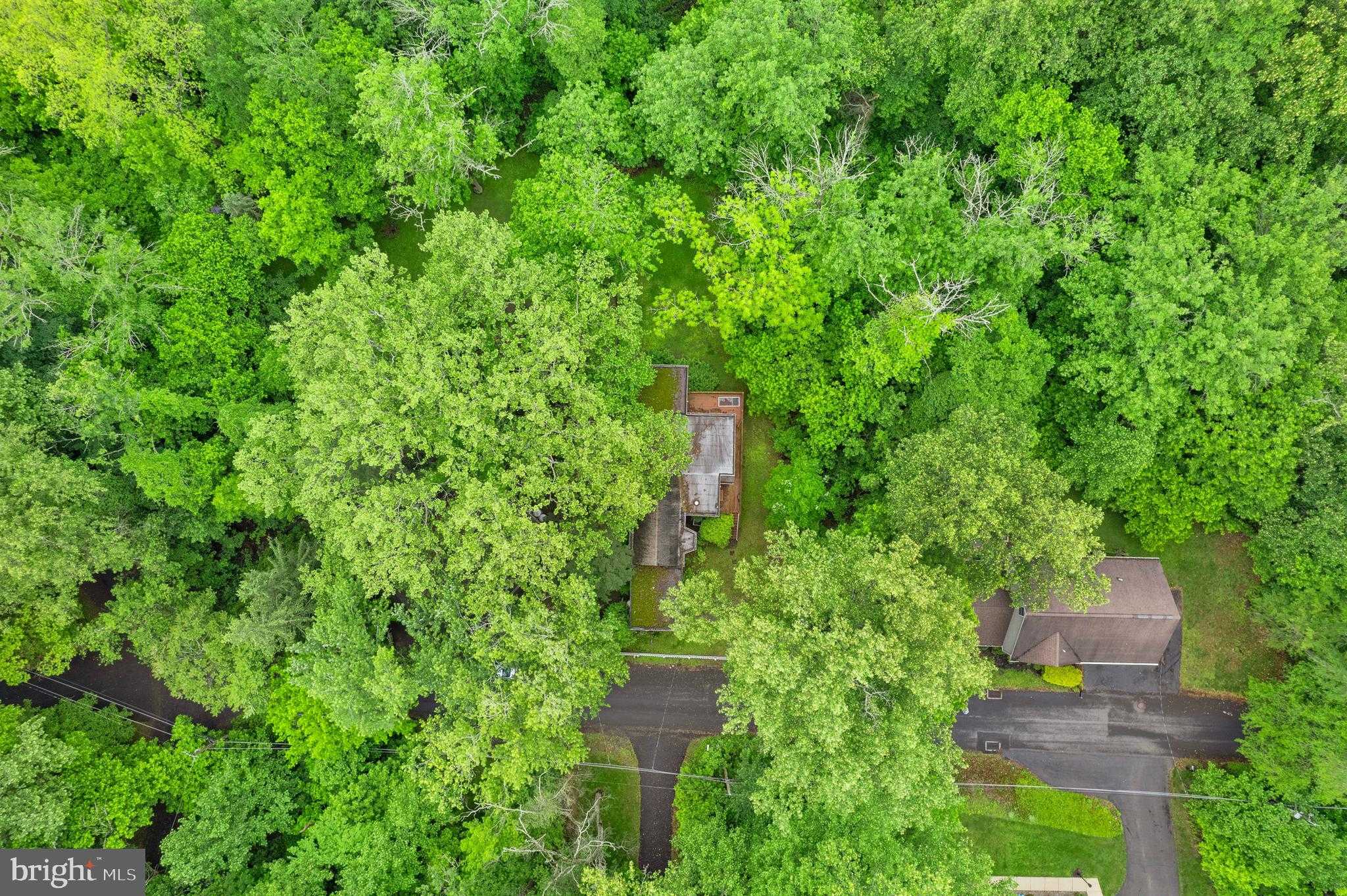 230 Playwicki St photo 14