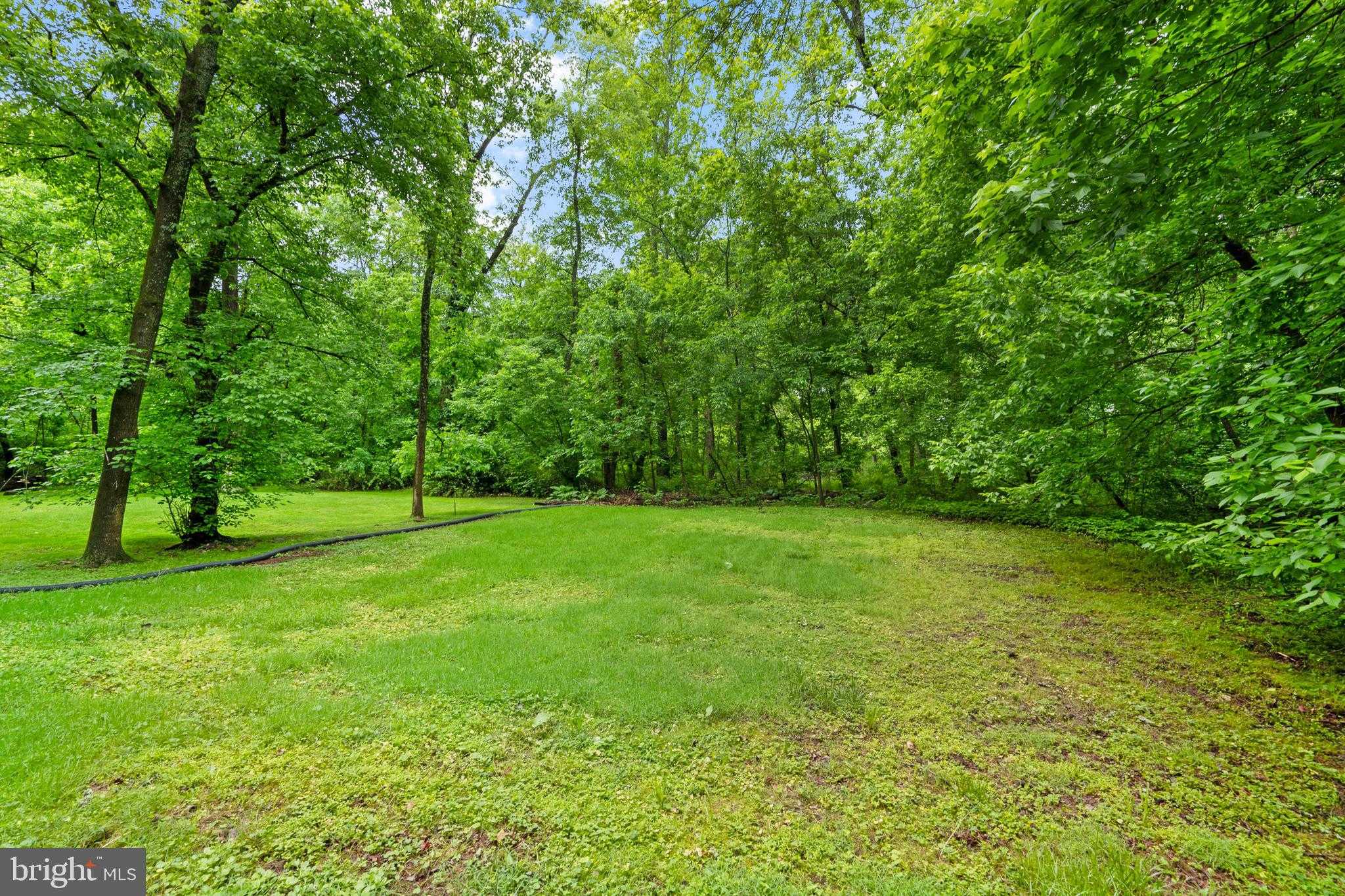 230 Playwicki St photo 5