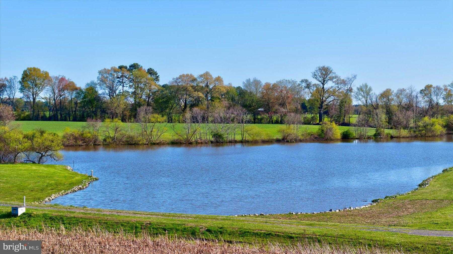 29031 Howell Point Rd photo 98