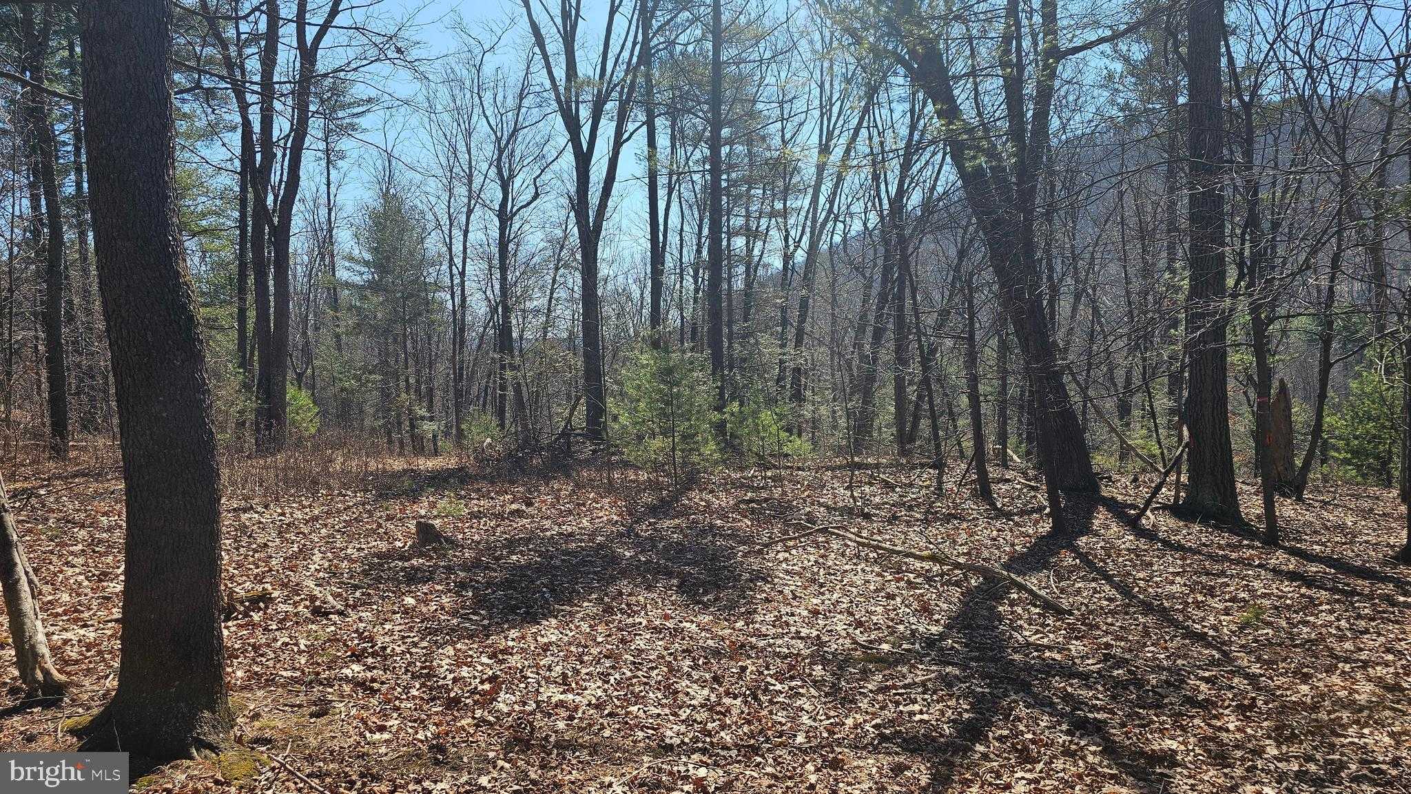 5725 Old Us Highway 322 photo 6