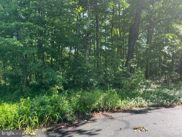 12511 Hawkins Ln photo 8