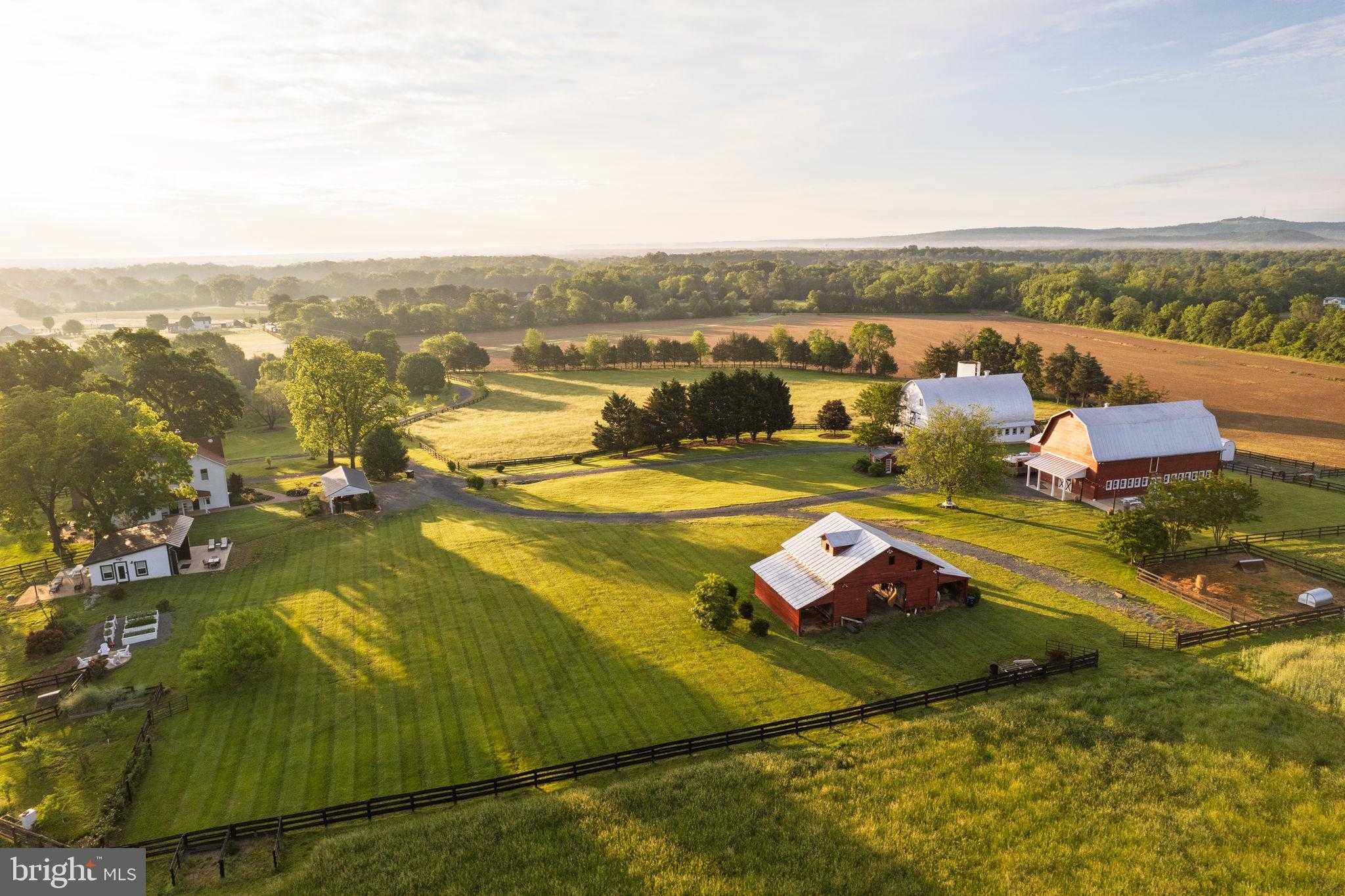 23350 Cedar Mountain Dr photo 4