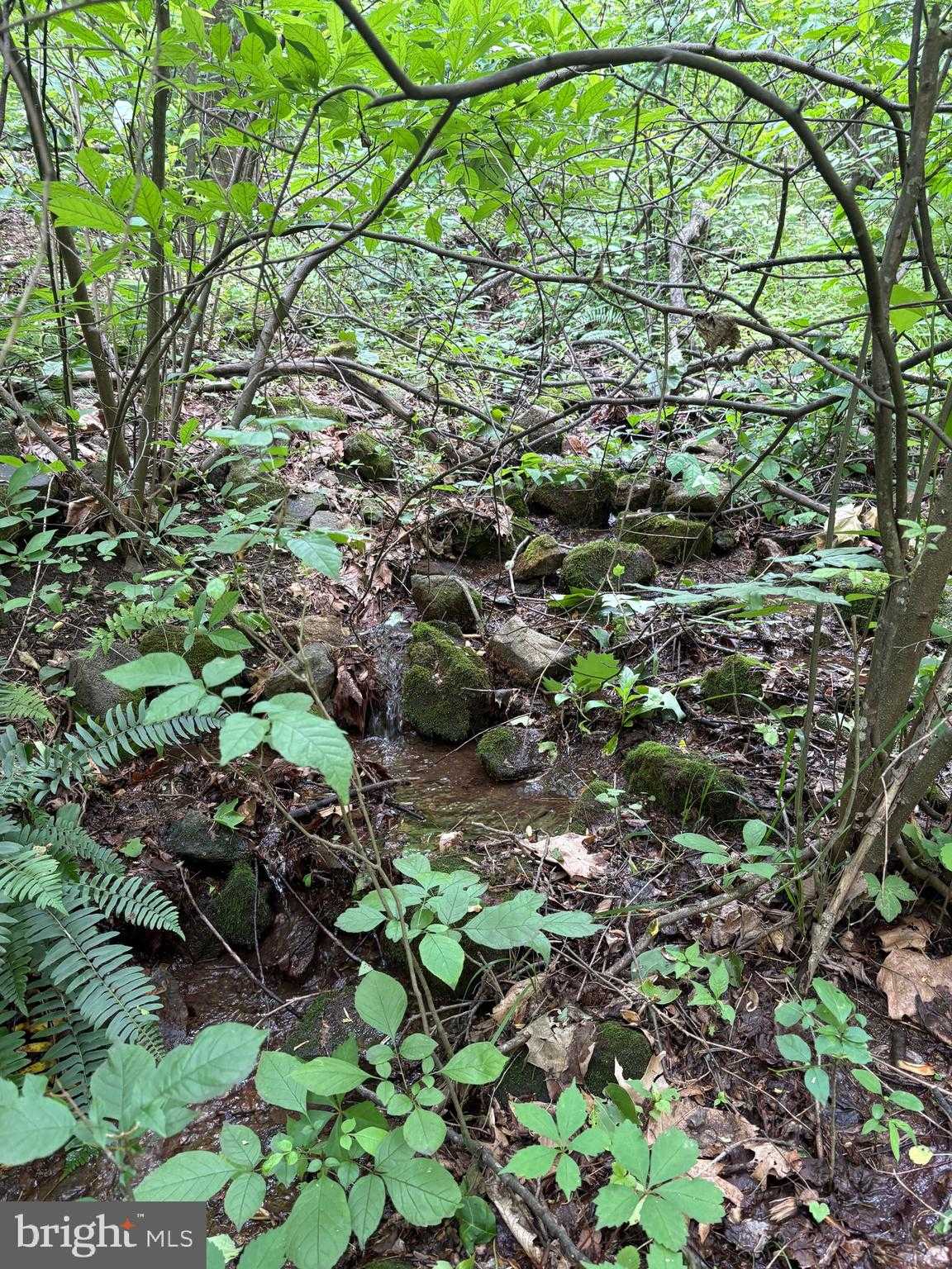 60 Mountain Breeze Ln photo 82