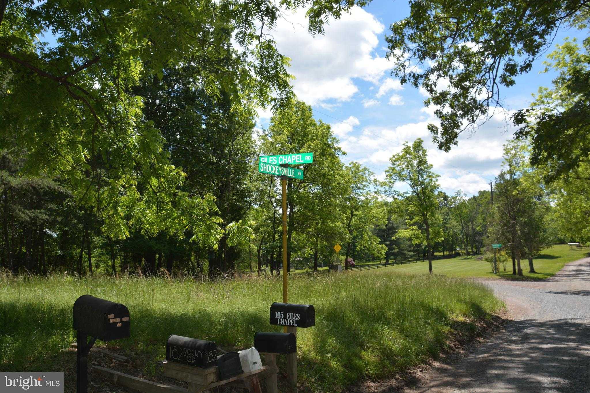 N Frederick Pike photo 50