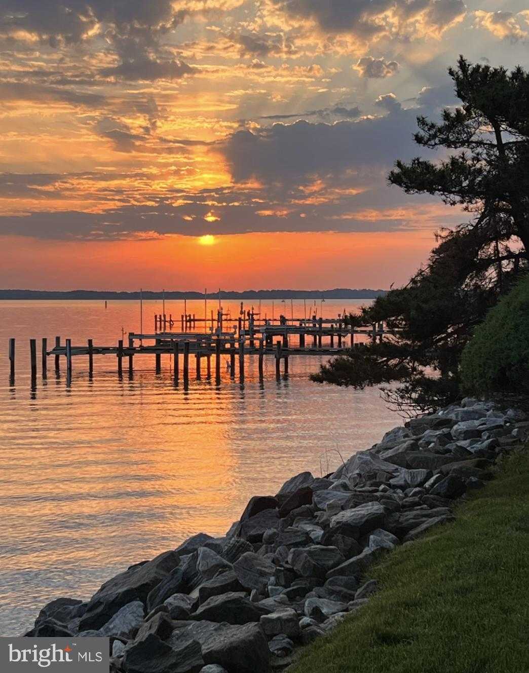 9791 Pintail Pl photo 77