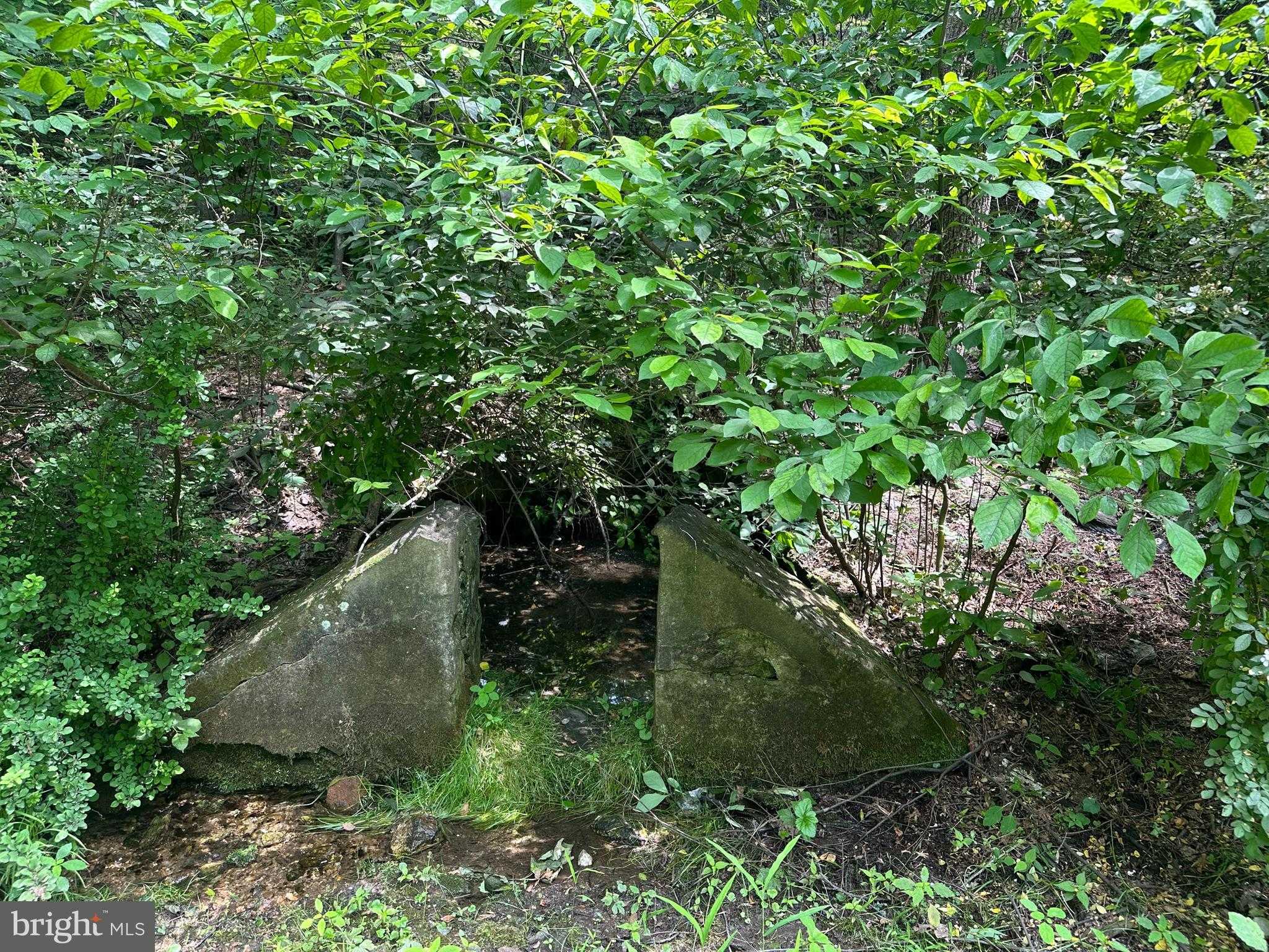 1418 Gallagherville Rd photo 12